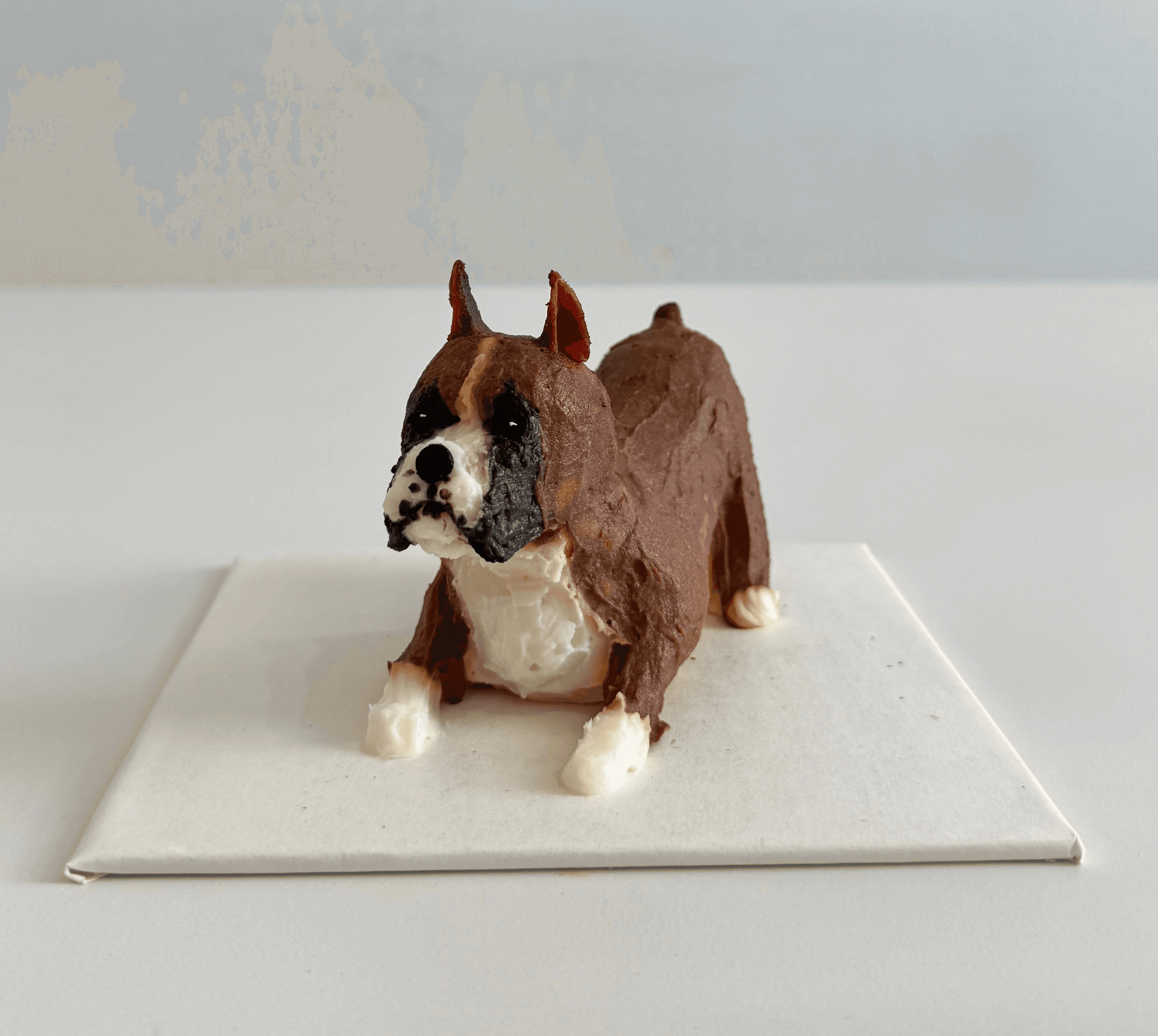 Boxer pet cake super realistic