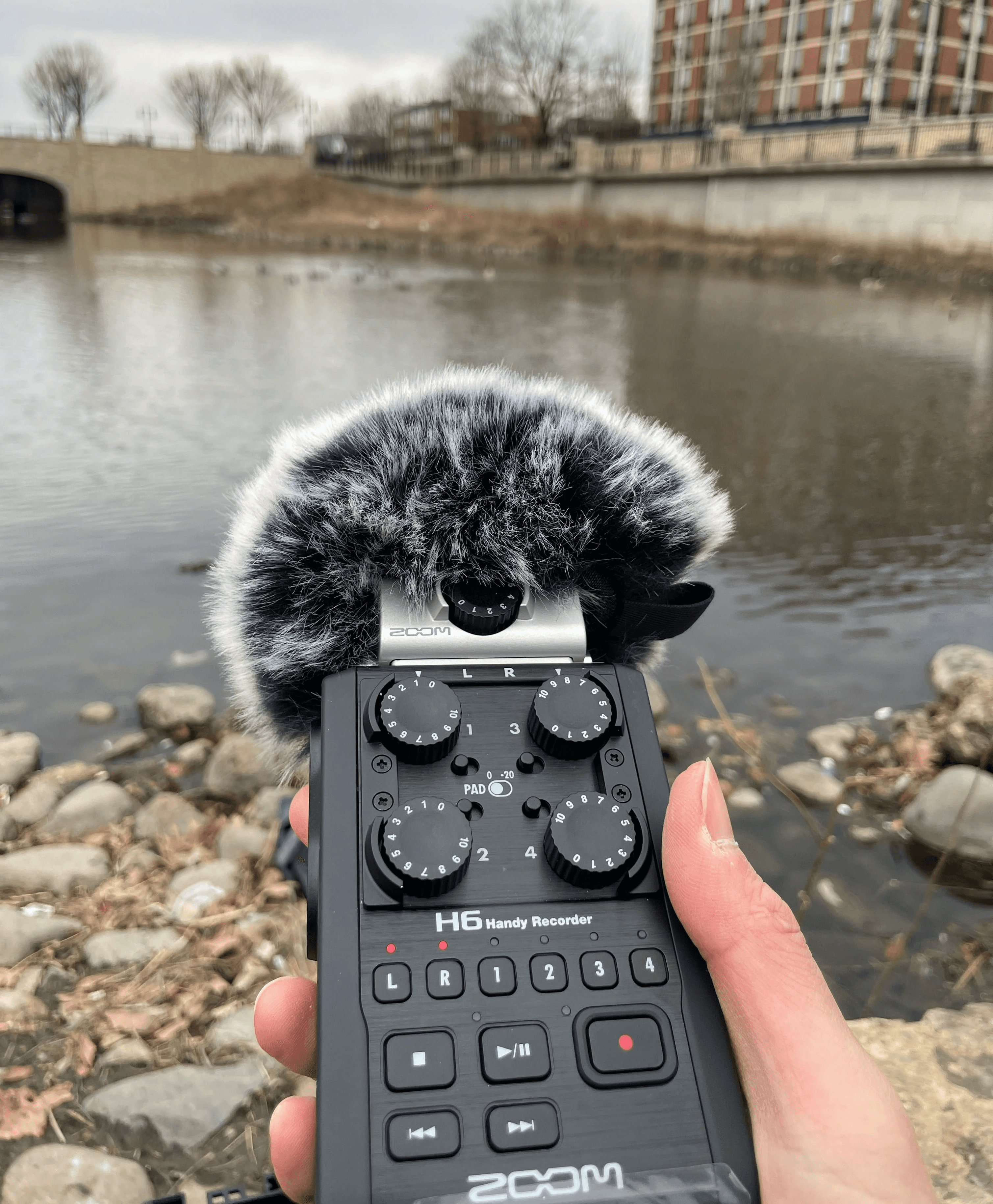 Yellow bowl filled with lemons on bright yellow background for lifestyle branding