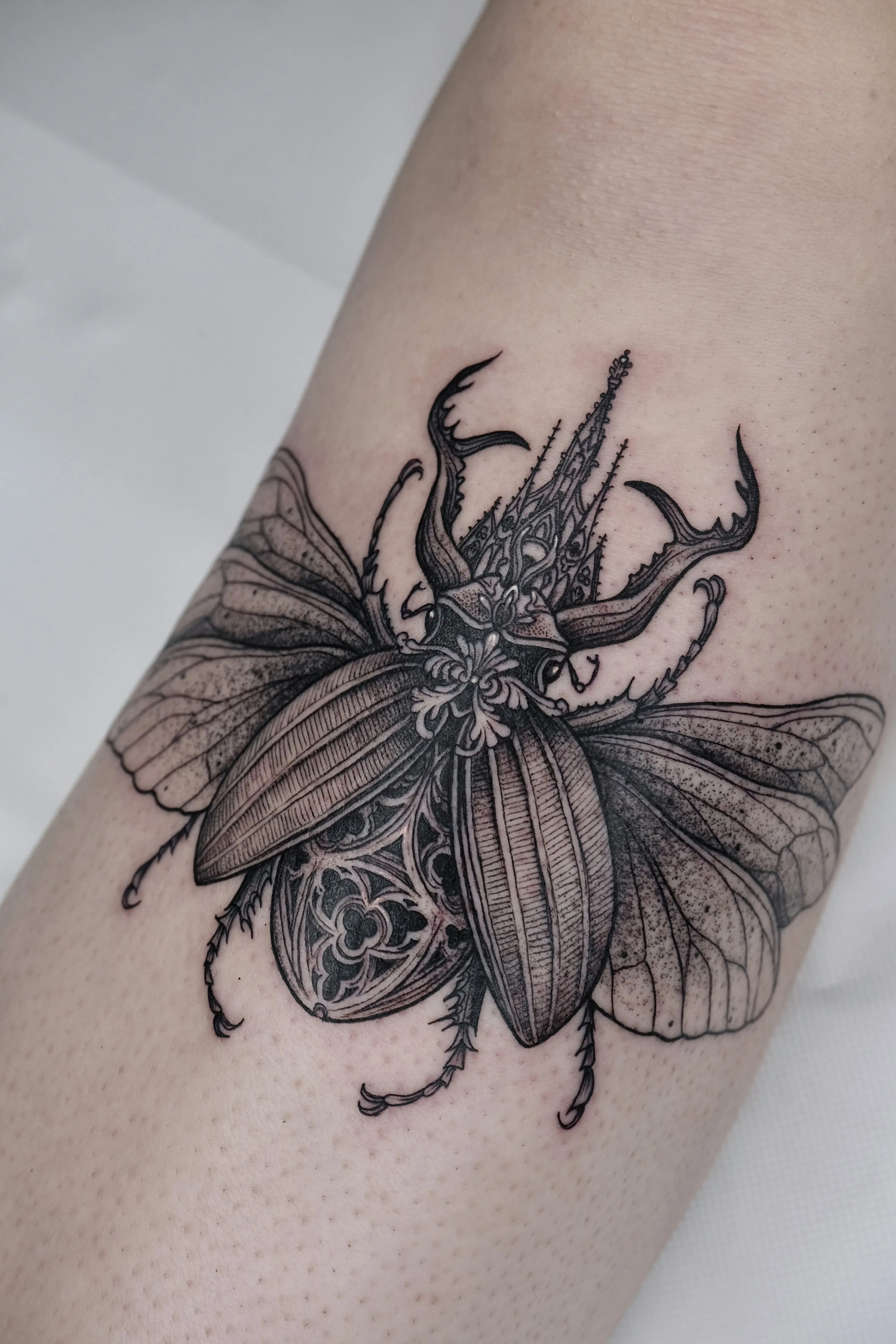Detailed Illustrative Blackwork Beetle Tattoo by Artist Maya