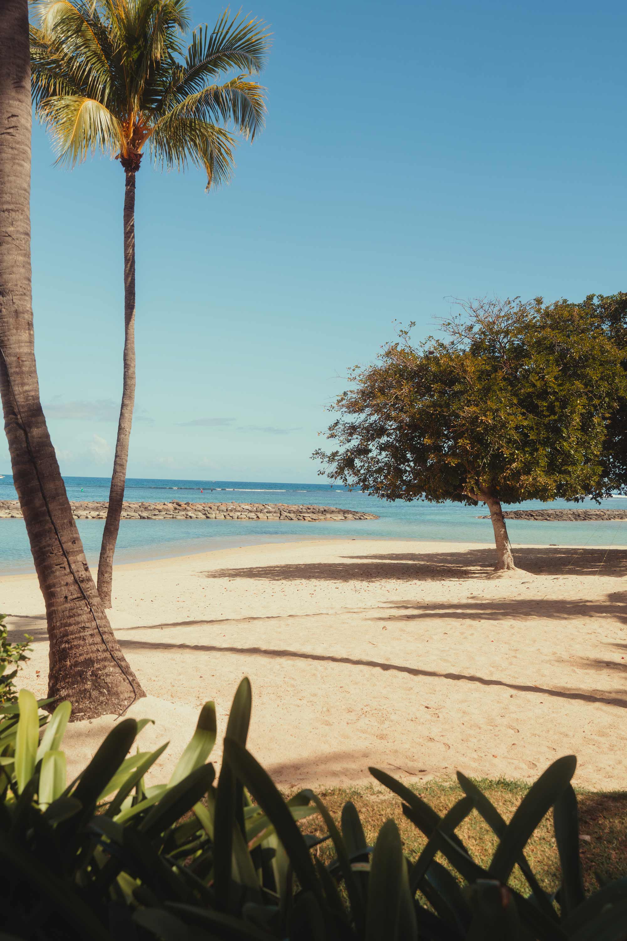 Beach scene for imagefilm; focus on nature and storytelling.