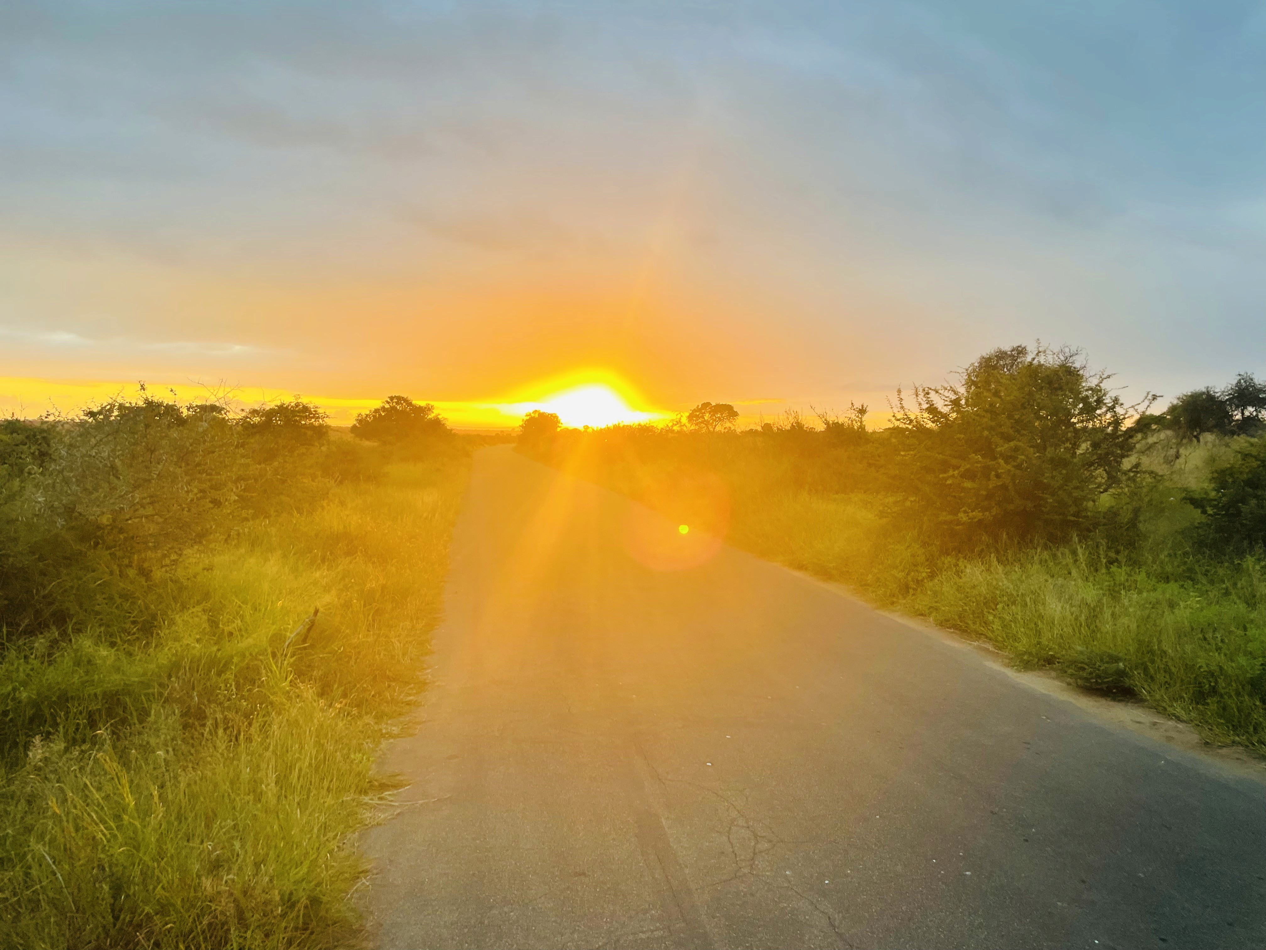 photo from unsplash as placeholder