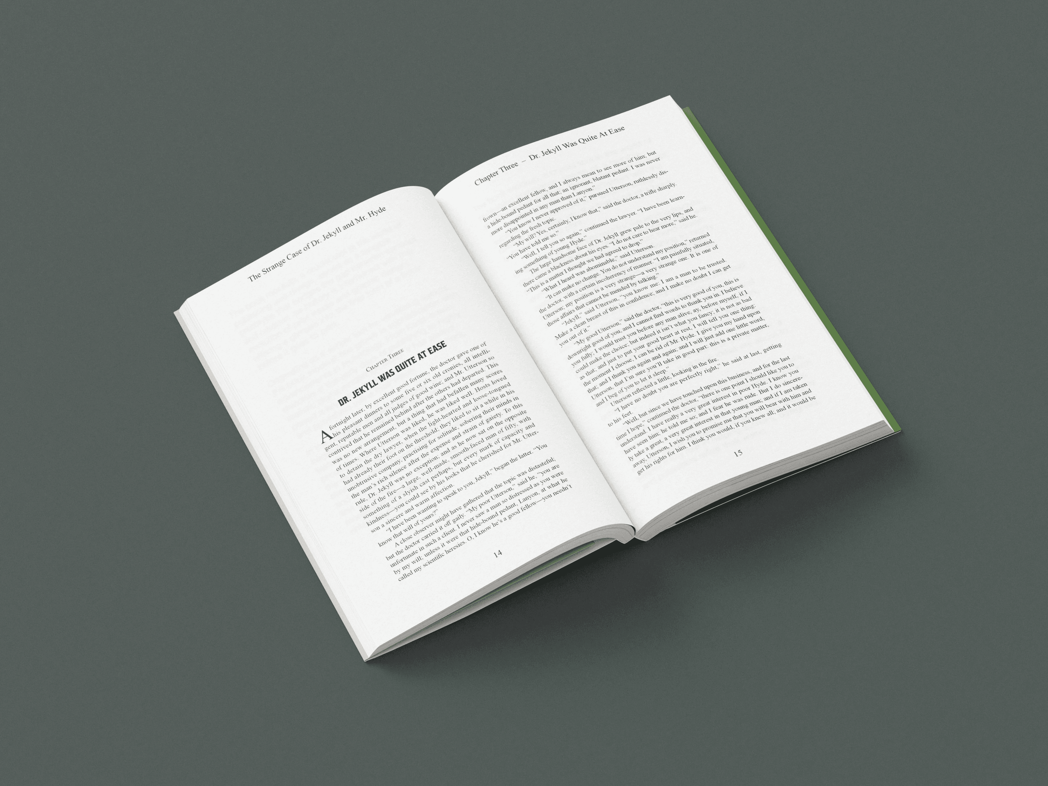 Book page spread mock up