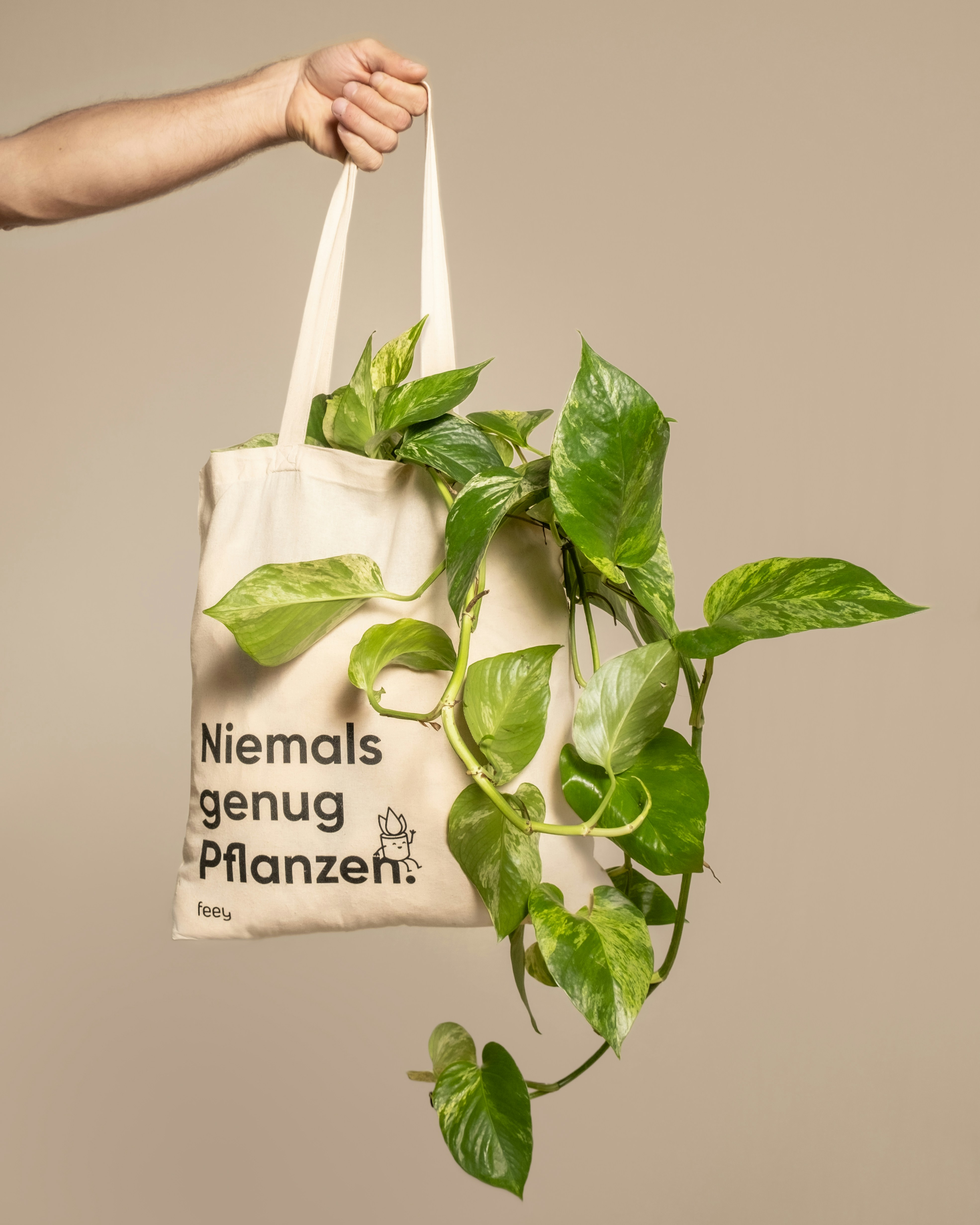 a person holding a bag with a plant in it