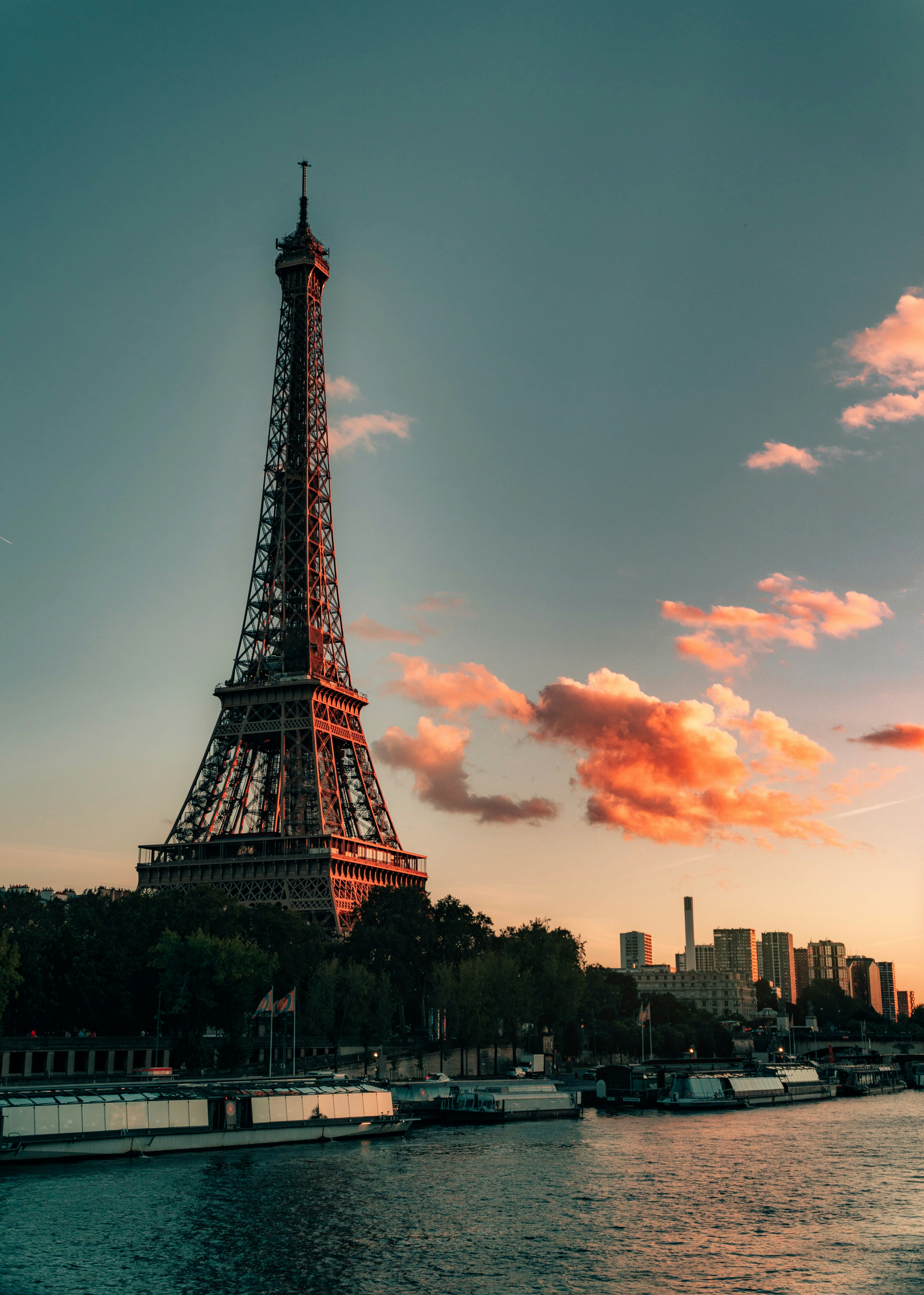 the eiffel tower towering over the city of paris
