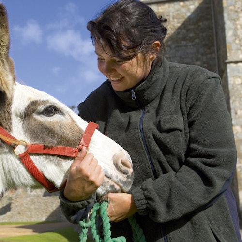 一個穿著綠色外套的人微笑著,手裡牽著一隻戴著紅色鼻套和綠色繩索的驢子。背景是一棟石頭建築。