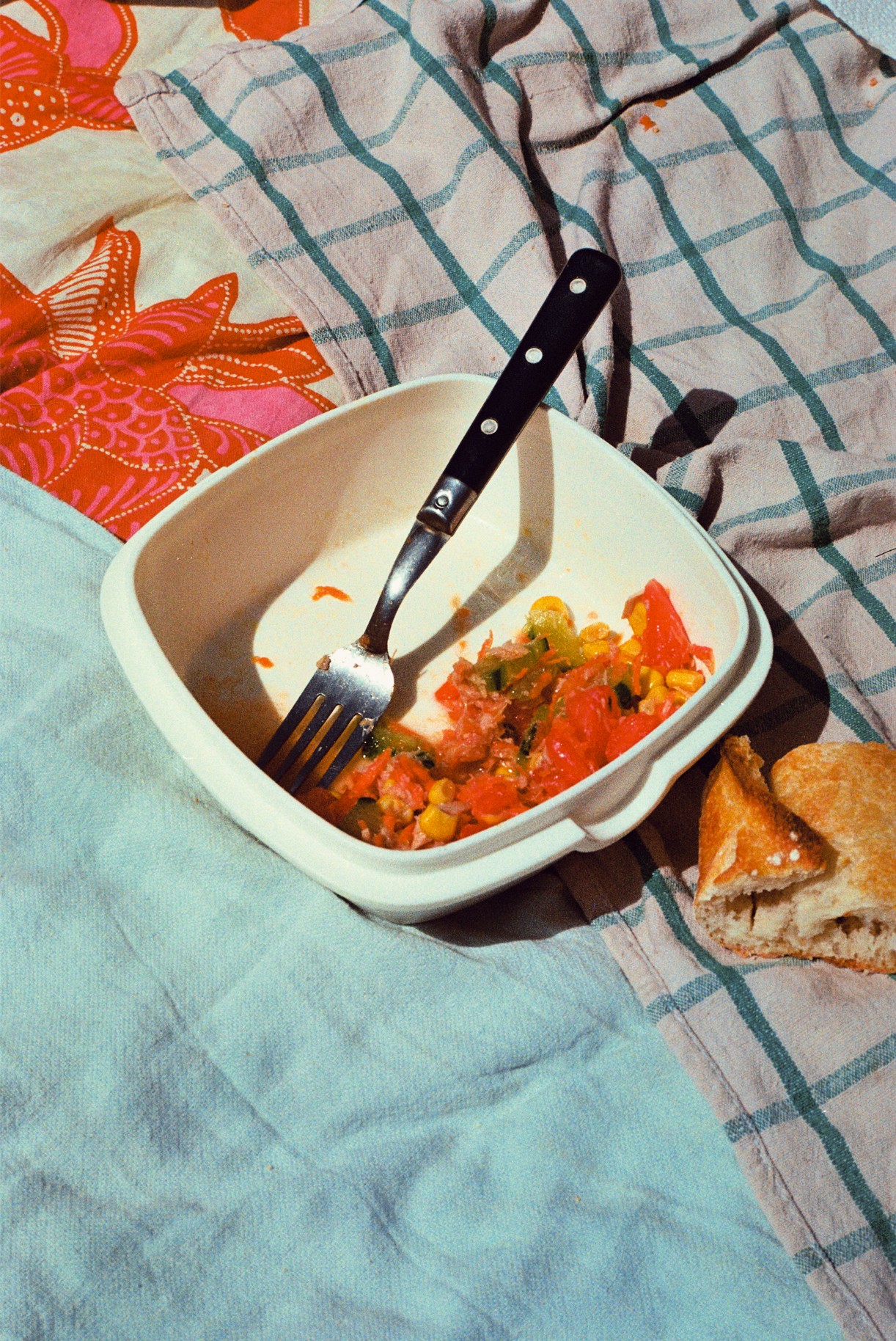 a salad for the picnic in a plastic storage container on a beach towel 