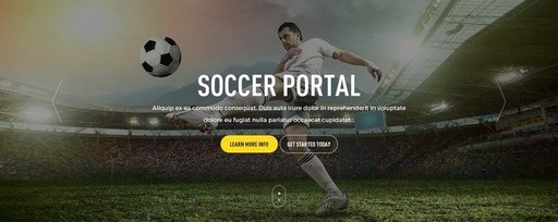 Soccer Gear For Fans & Clubs Turnkey Shopify Business for Sale