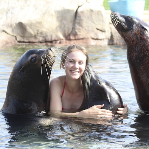 Una mujer sonriente en el agua, rodeada por tres leones marinos. Se pueden ver rocas y agua en el fondo.