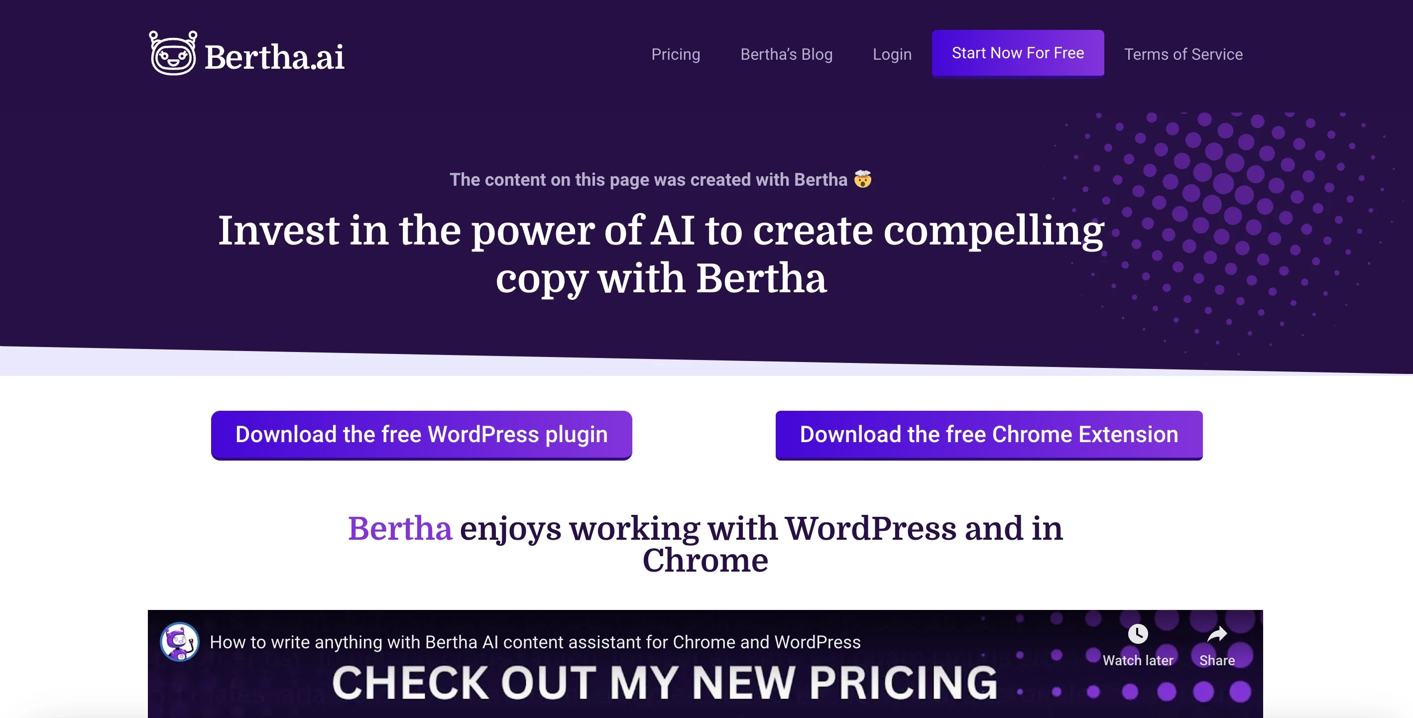 Bertha.ai