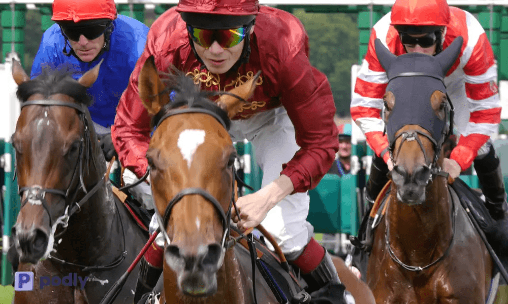 start small with a narrow niche or sub niches