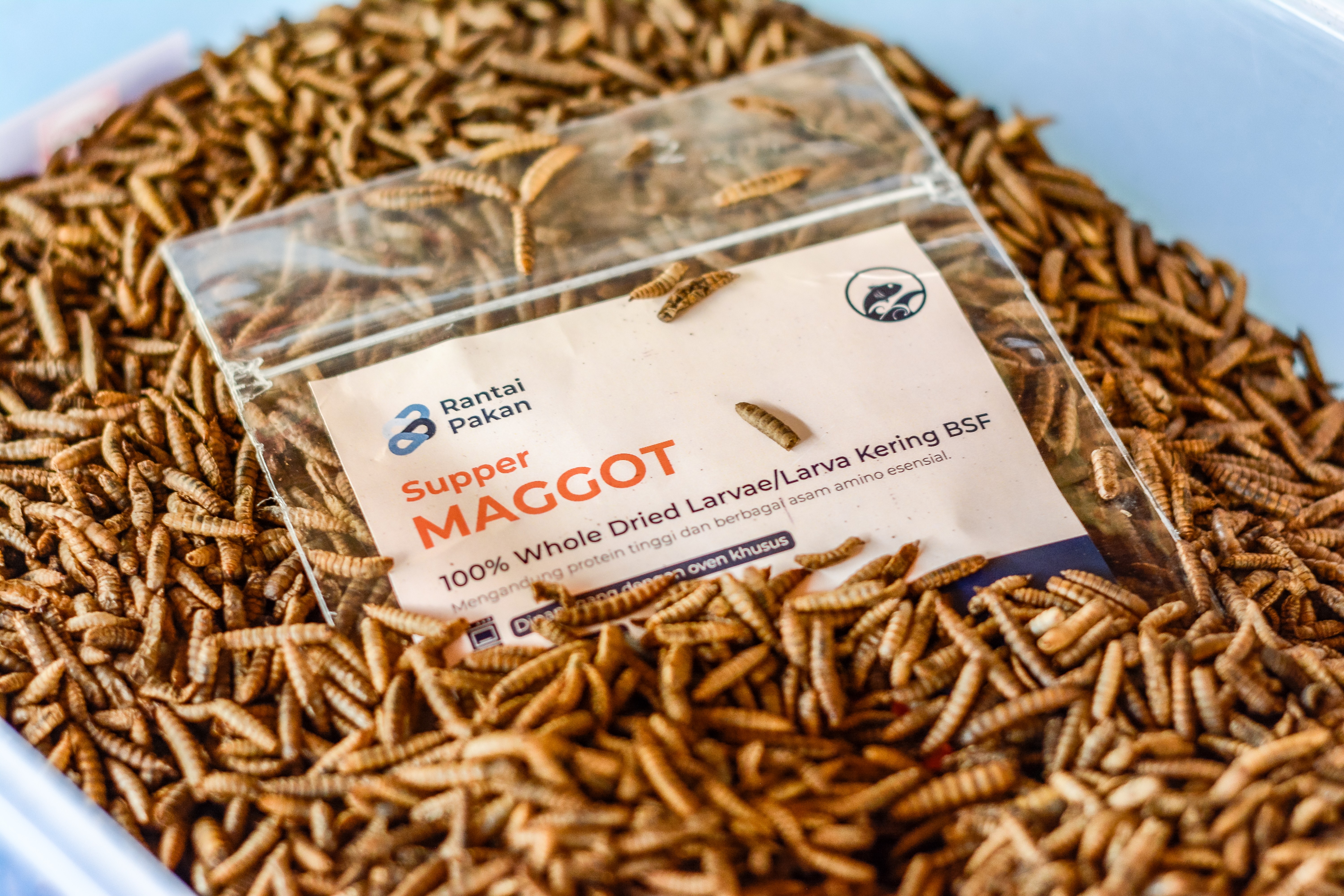 Supper Maggot Product Photoshoot