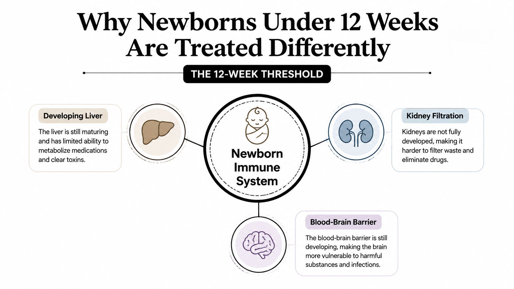 An infographic explaining why newborns under 12 weeks are treated differently due to developing organ systems.