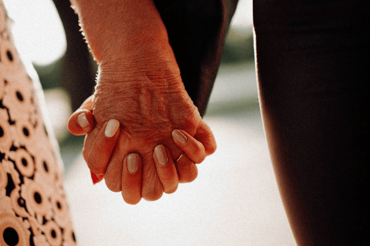 An older hand and a younger hand clasped together in warm evening light.