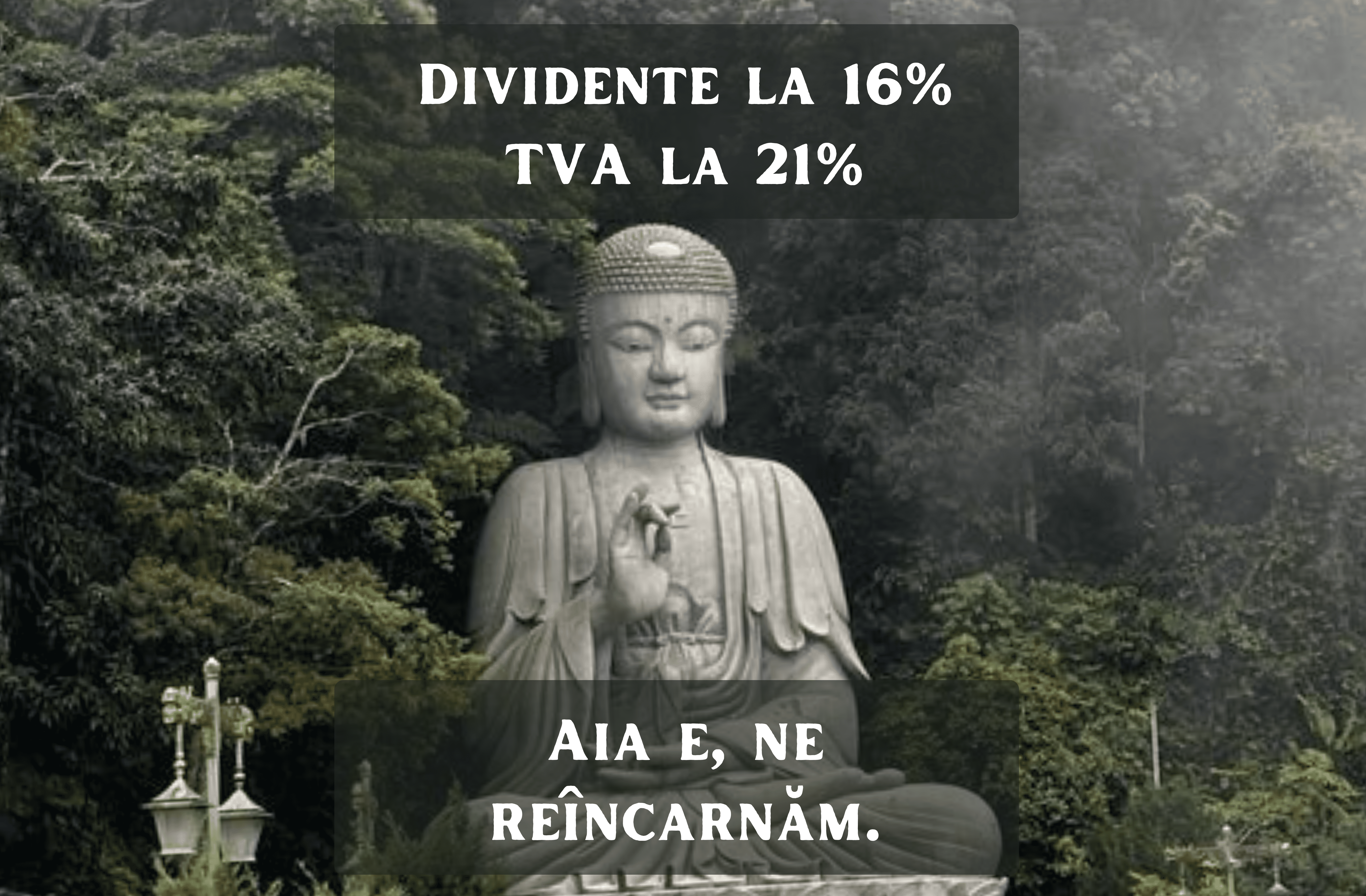 Meme cu o statuie mare de Buddha în pădure, adaptat pentru contextul fiscal din România. Textul de sus, pe un fundal translucid, este „DIVIDENTE LA 16%, TVA LA 21%”. Textul de jos, tot pe fundal translucid, este „AIA E, NE REÎNCARNĂM”.