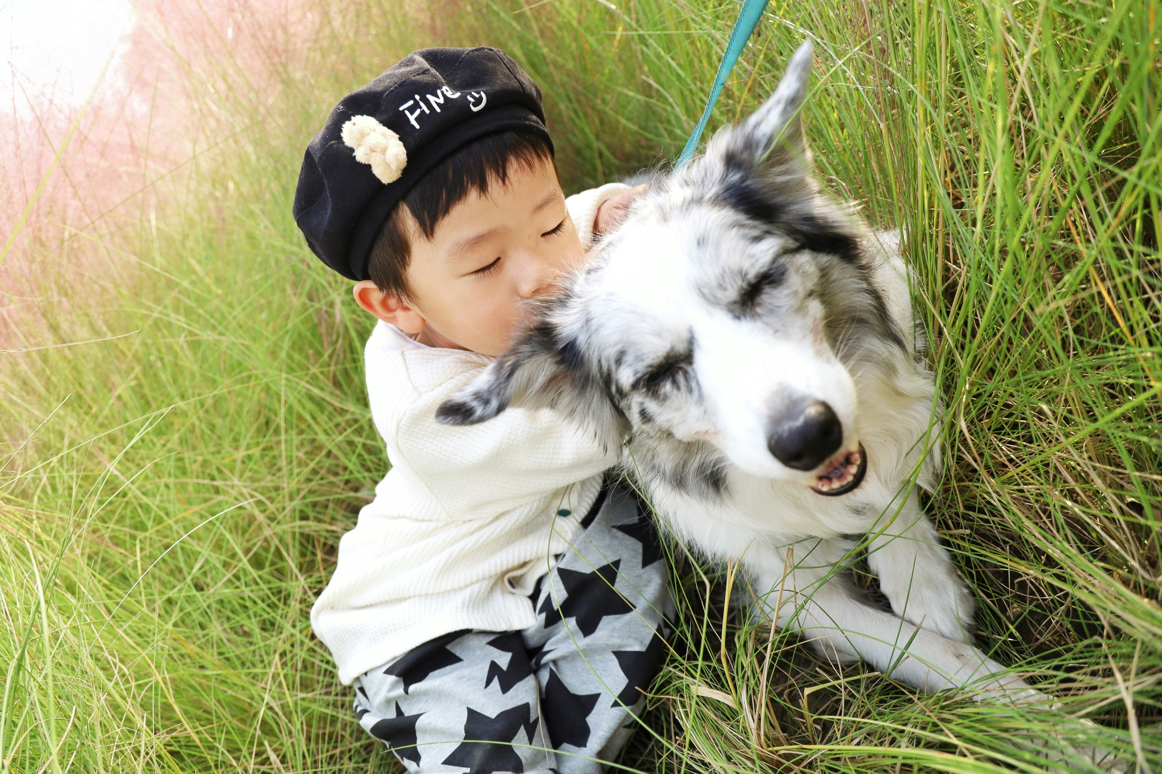 ai dog training app for reducing separation anxiety