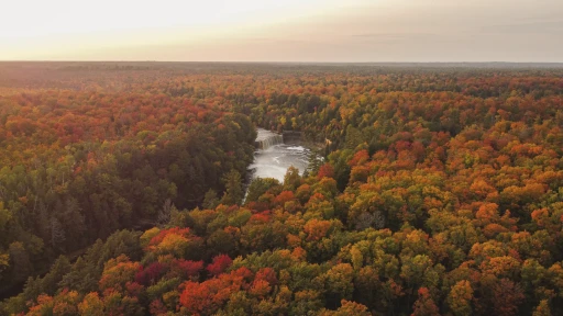 Autumn: the river woods