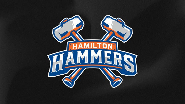 hamilton hammers logo