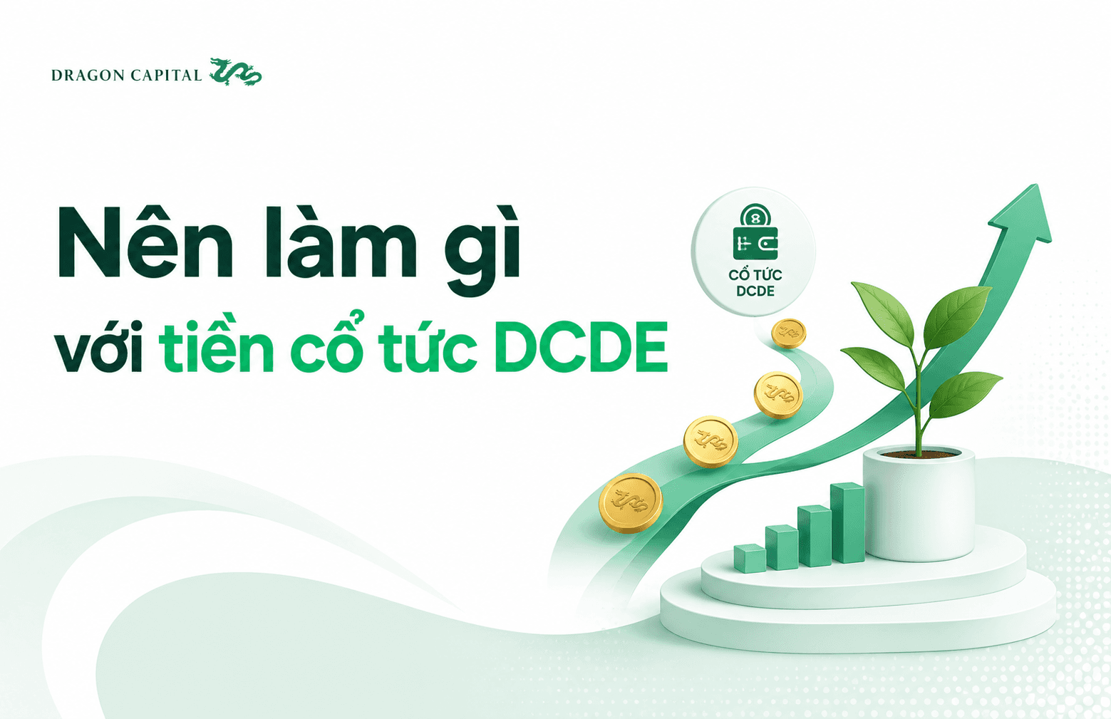 Nên làm gì với tiền cổ tức DCDE