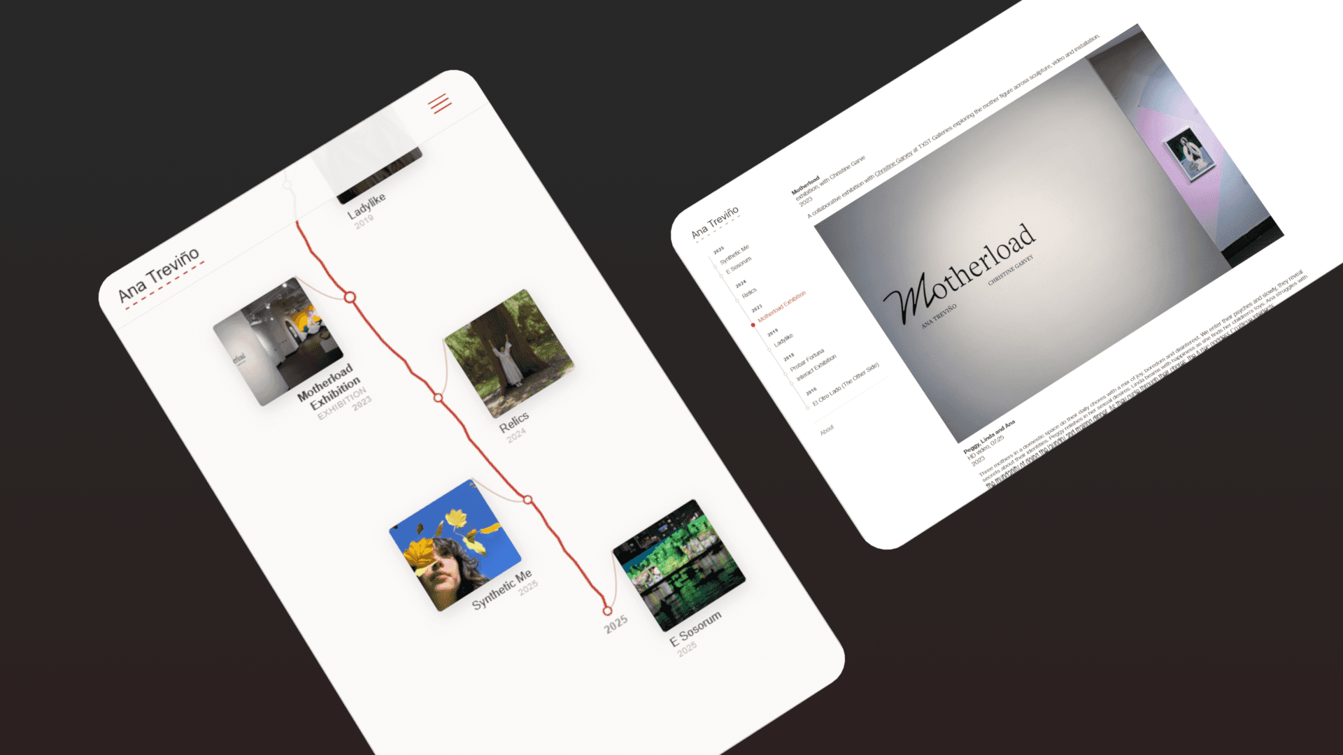 Portfolio project media