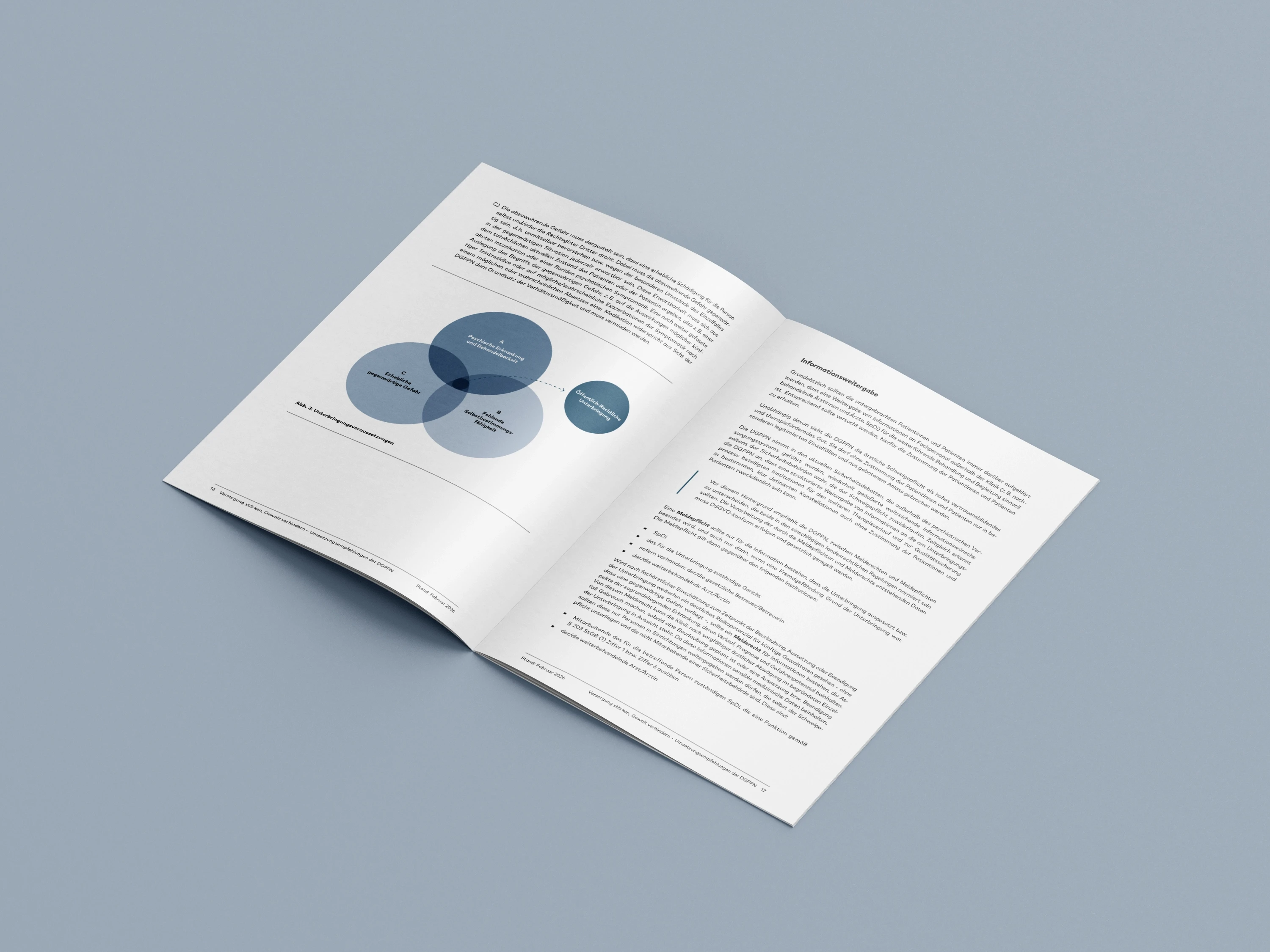 SEO-optimierter Alt-Text: „DGPPN Positionspapier aufgeschlagen: Innenseiten mit Venn-Diagramm zu Unterbringungsvoraussetzungen und Fließtext zur Informationsweitergabe