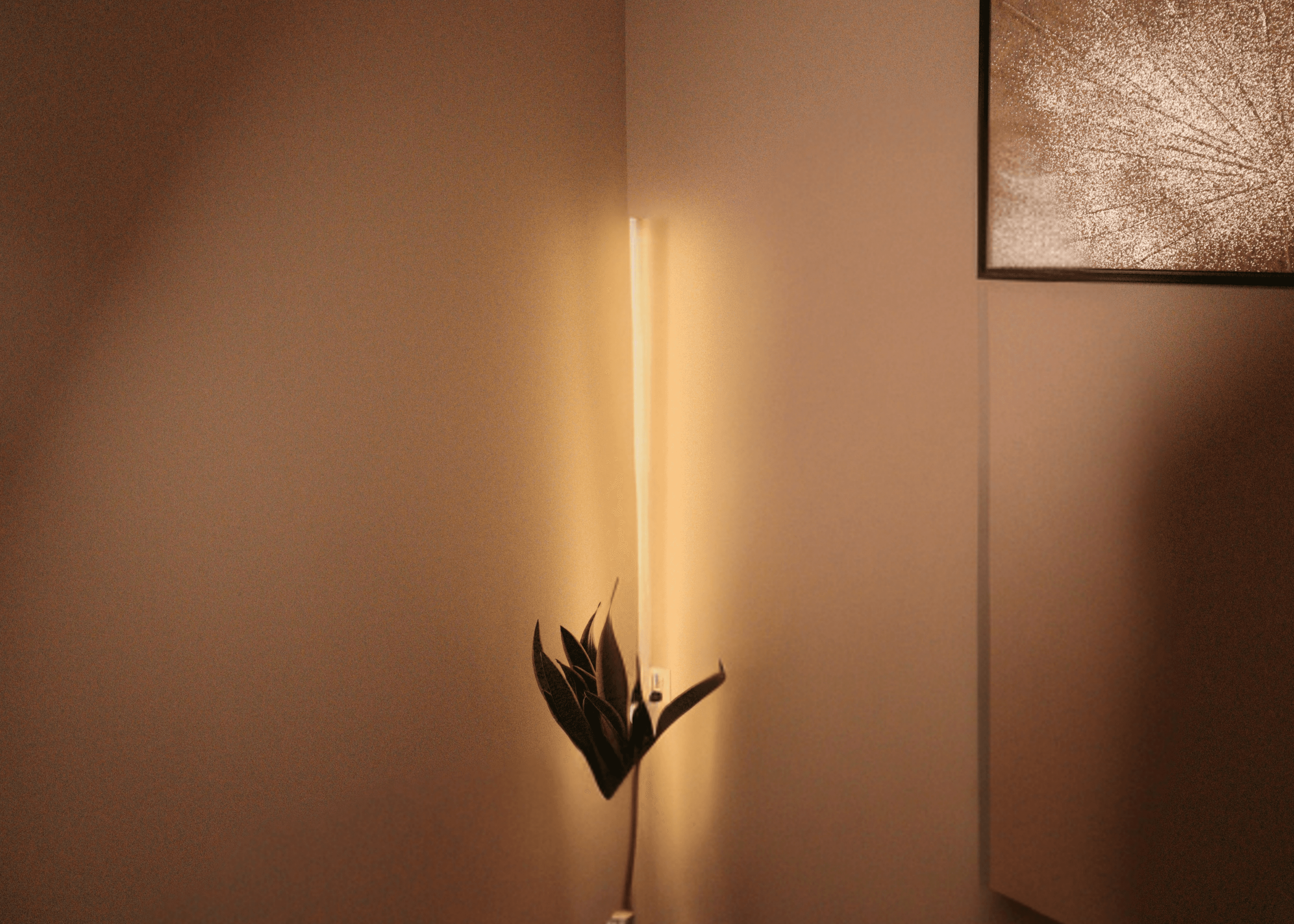 A dim lit treatment room at Zen Quest Wellness clinic