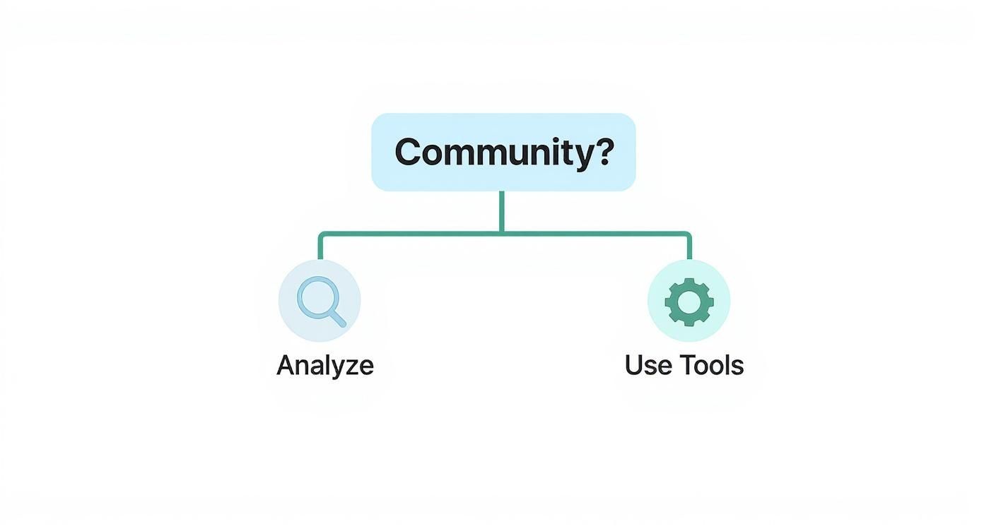 Infographic about how to find low competition keywords