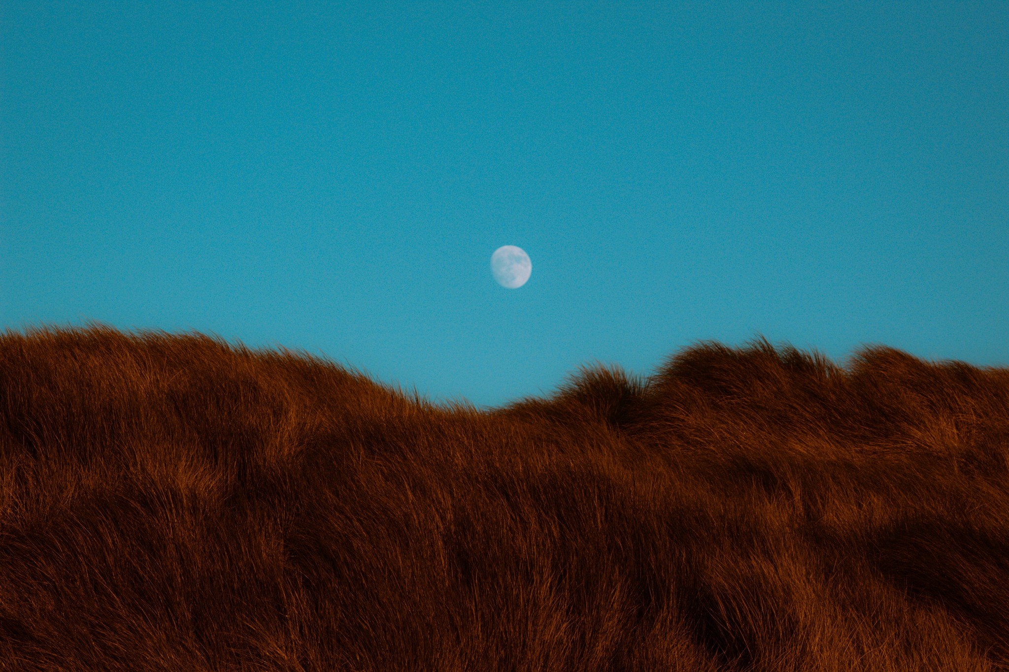 Minimalist Fine Art Dune Photography