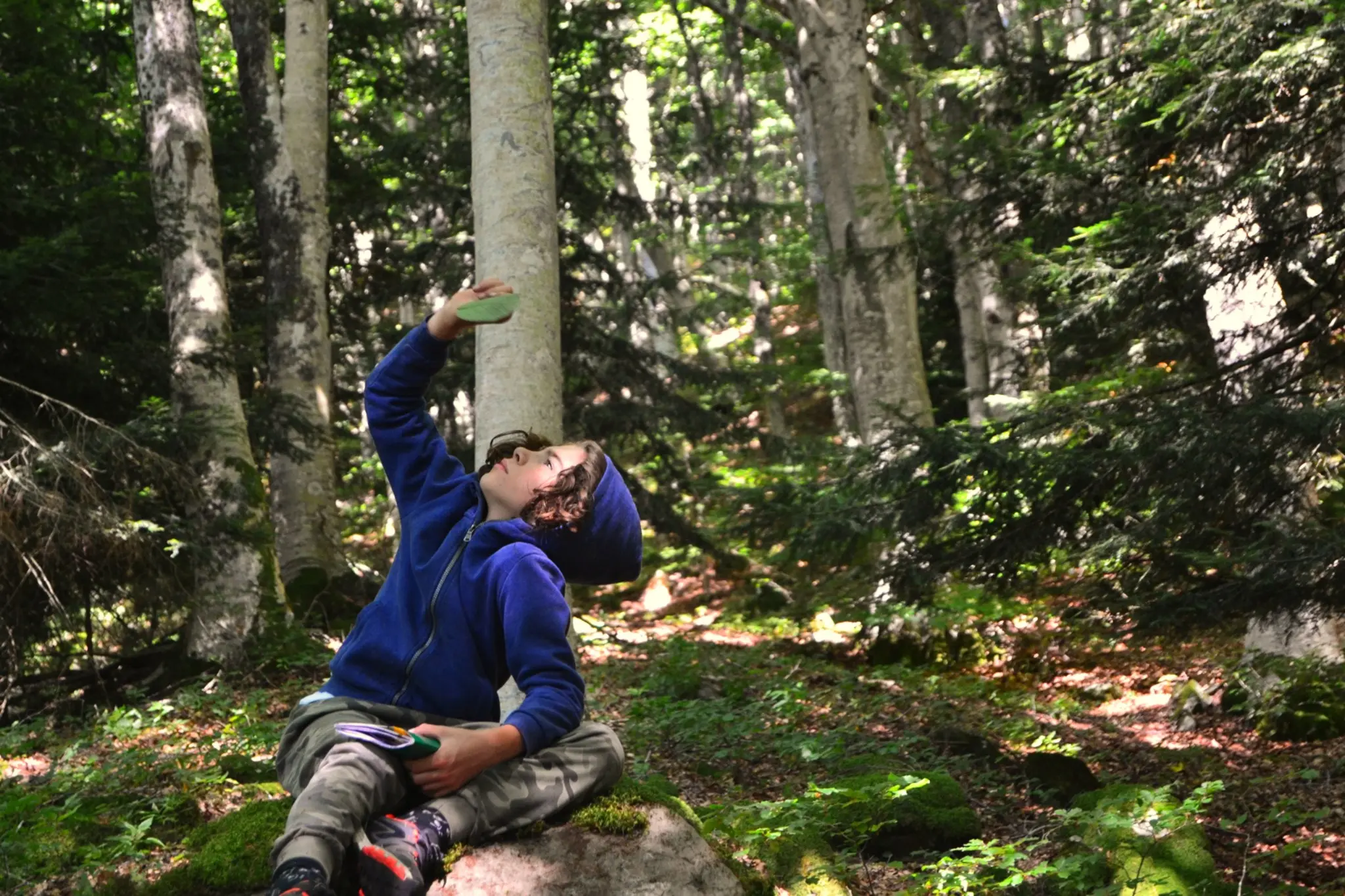 Ragazzo seduto su roccia muscosa osserva chioma alberi nel bosco, attività di outdoor education per studio regno vegetale e educazione ambientale scuole