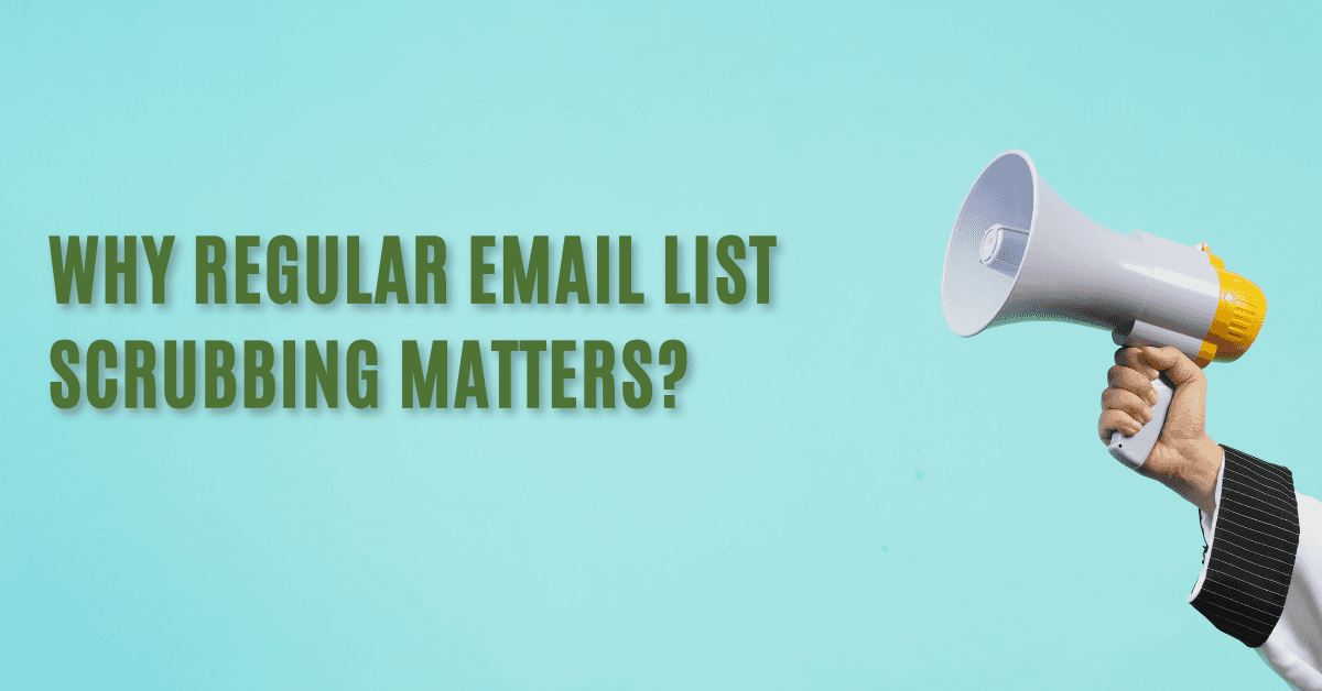 Why Regular Email List Scrubbing Matters?&nbsp;