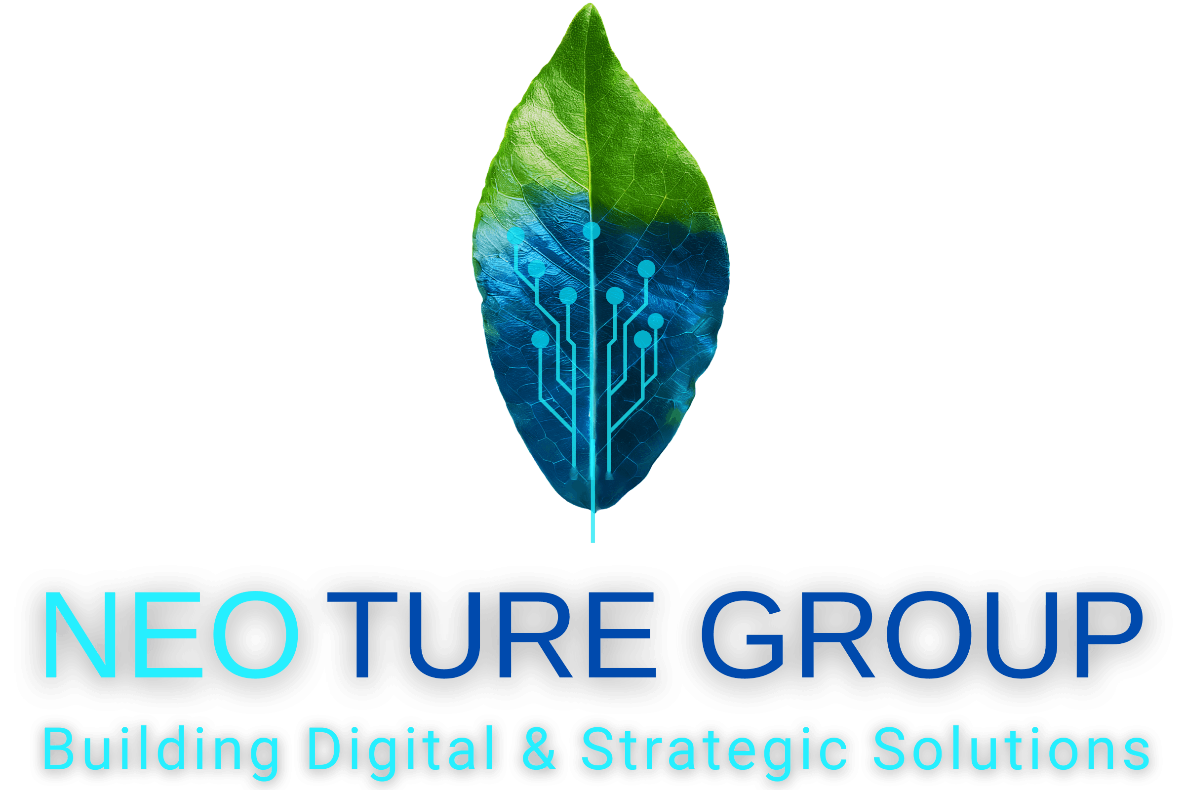 Logo Neoture Group - Building Digital & Strategic Solutions