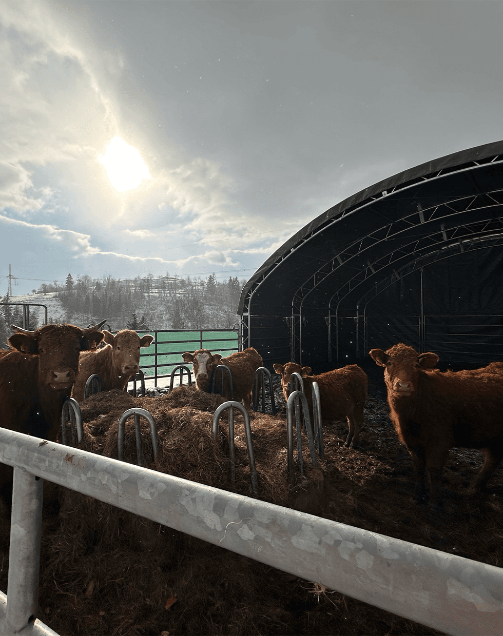 Athlete winning a race