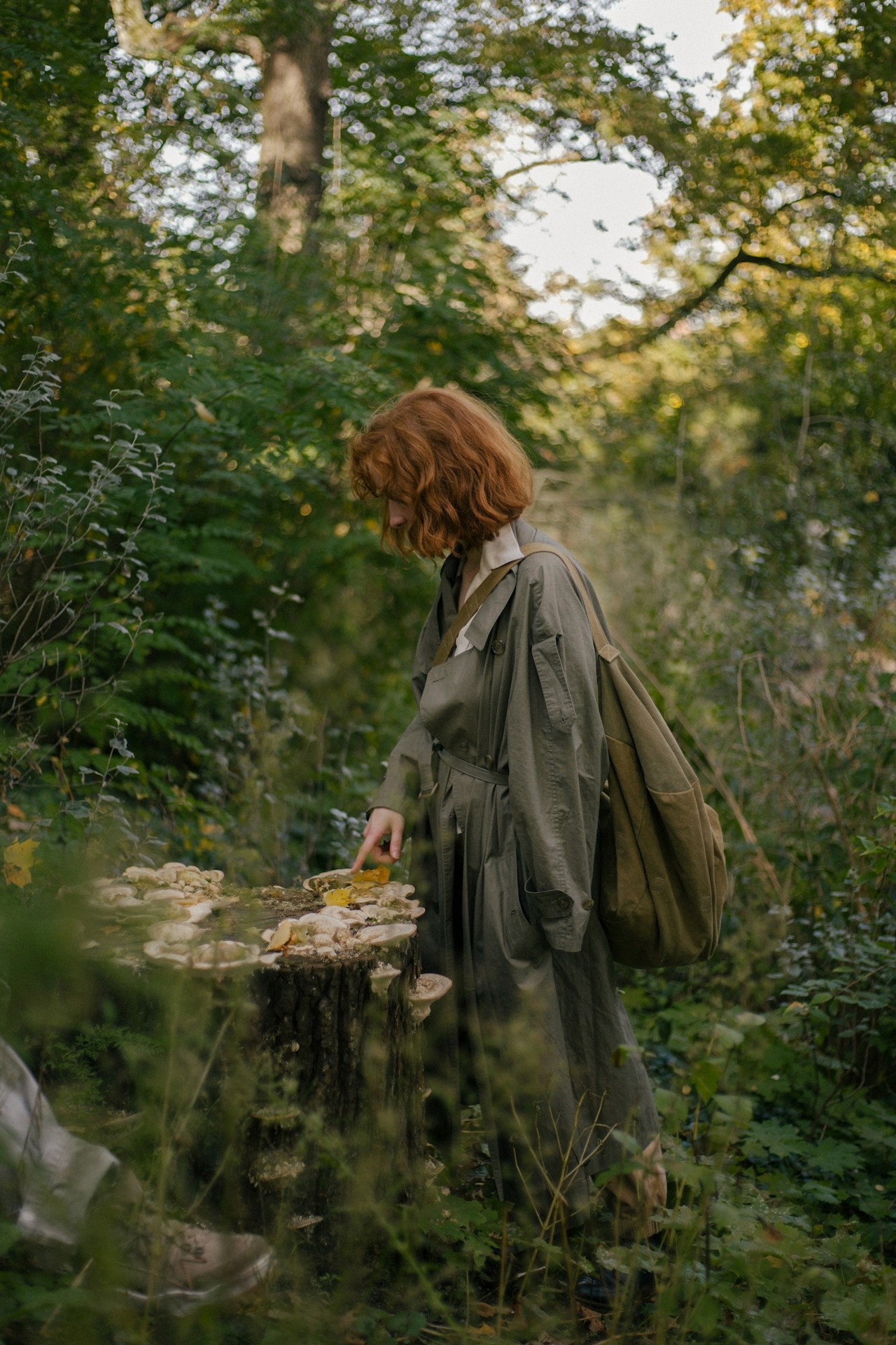 A girl standing in a forest, looking down at a large, freshly cut tree stump.