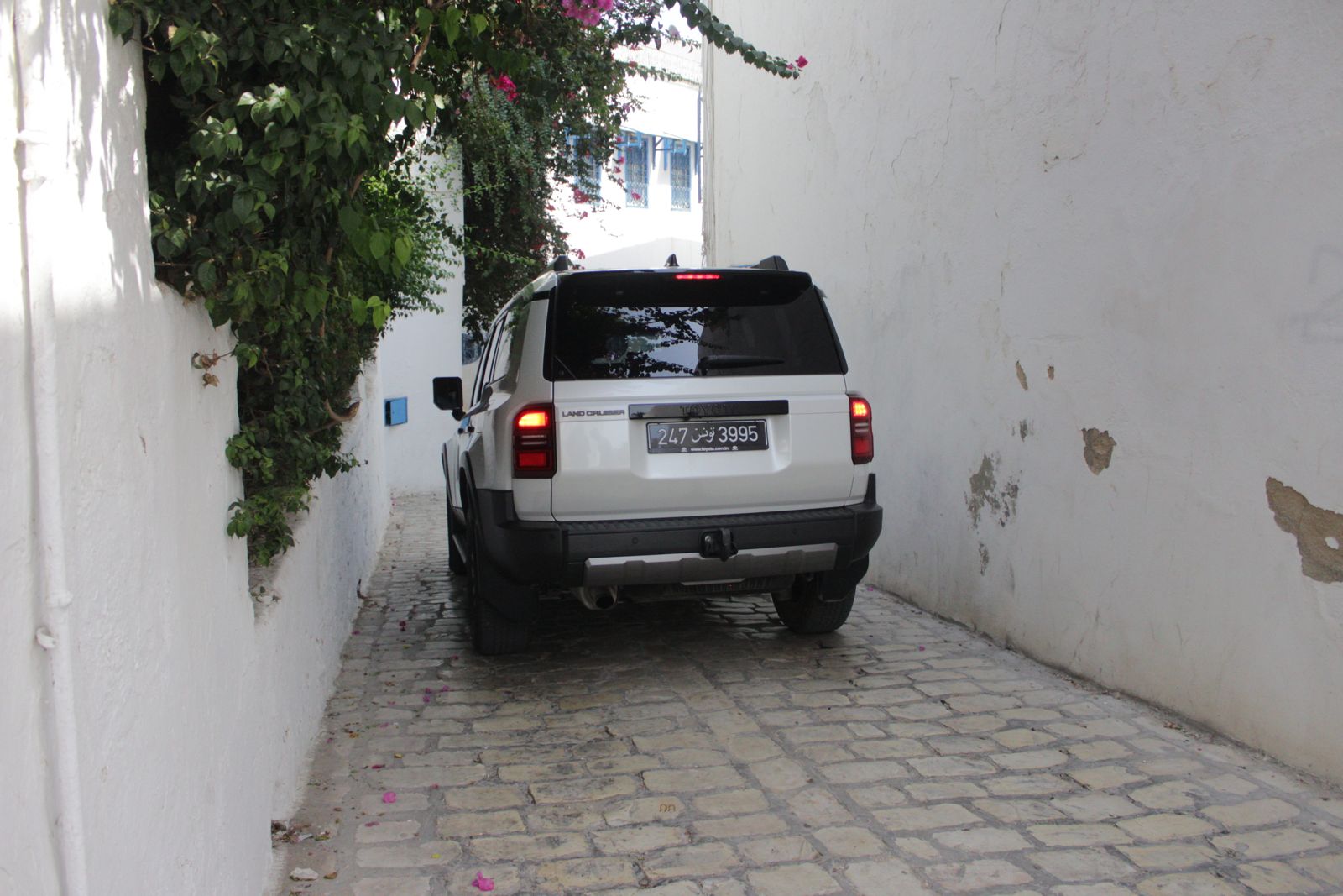 Business and Life Coach - Free Framer Template