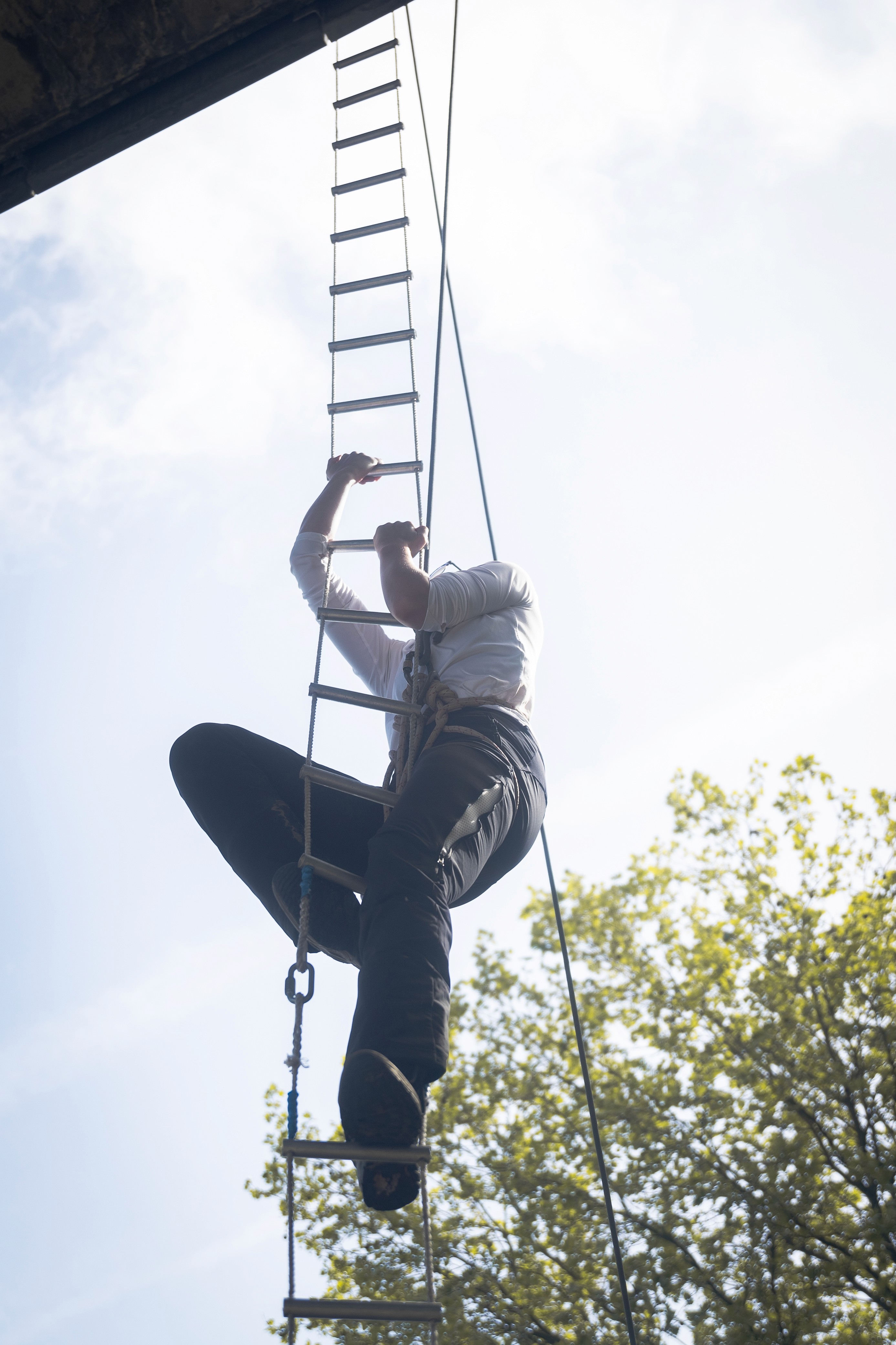 Close-up of a dark green leaf showing its textured surface and central vein against a muted background.