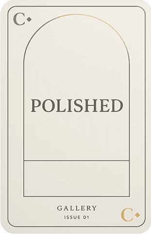 Style aesthetic selection card, Polished