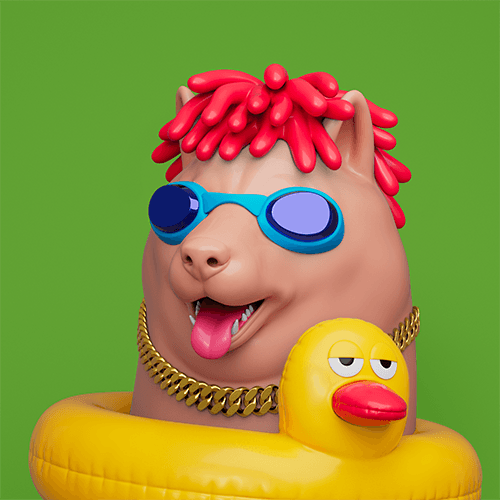 Shiba Inu in floatie