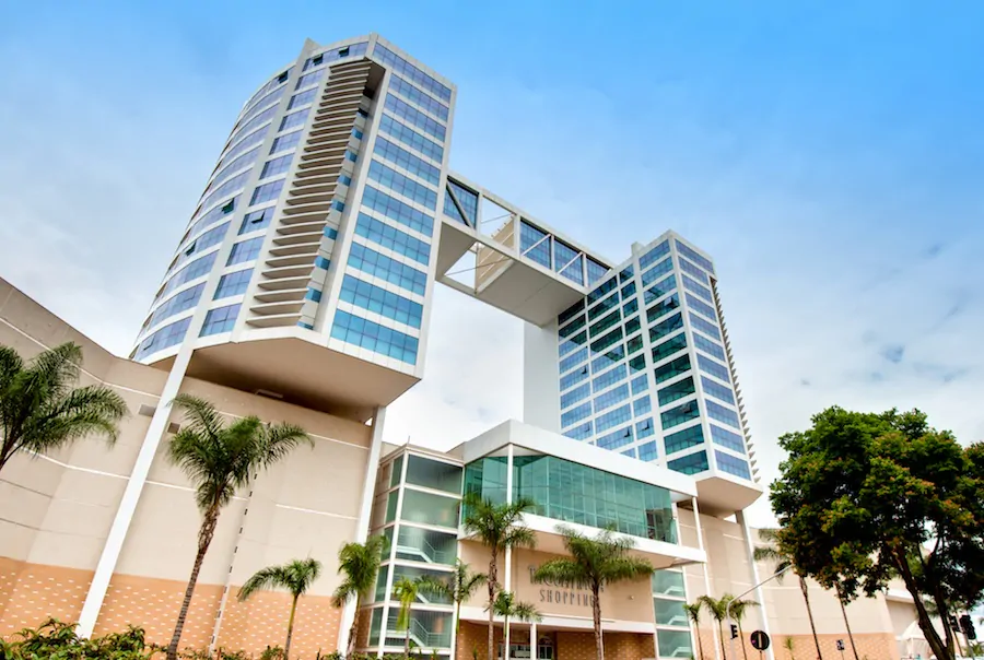 modern living room and kitchen with wooden cabinets and soft natural light