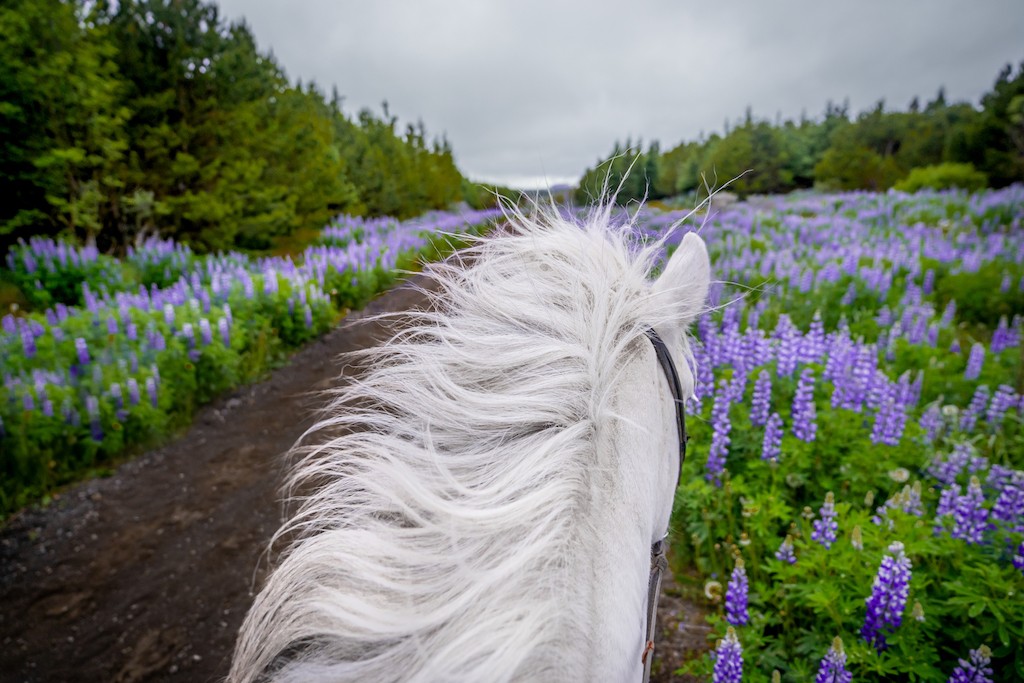 骑士们穿越熔岩场