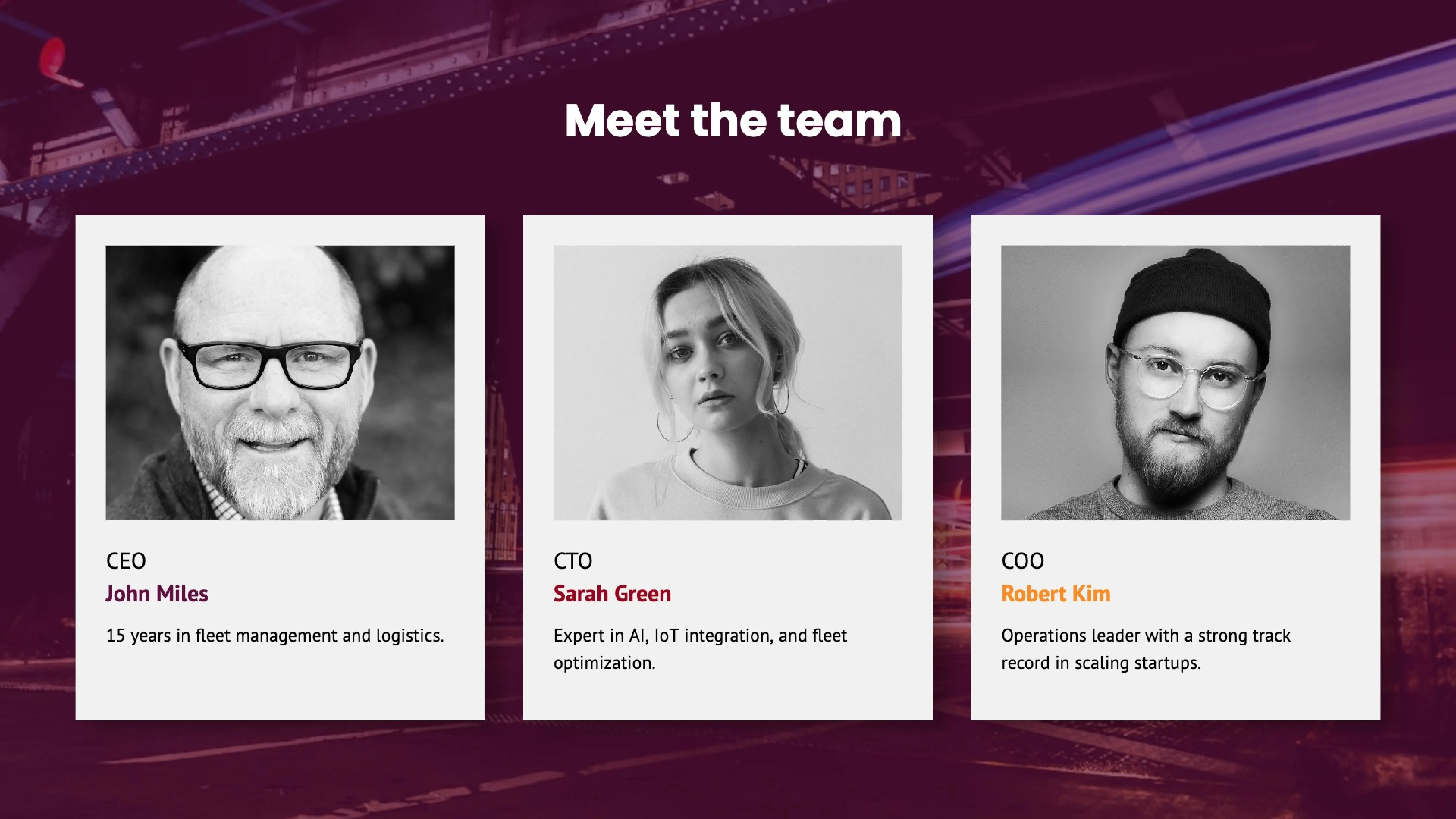 our team slide - executive summary and business plan presentation template