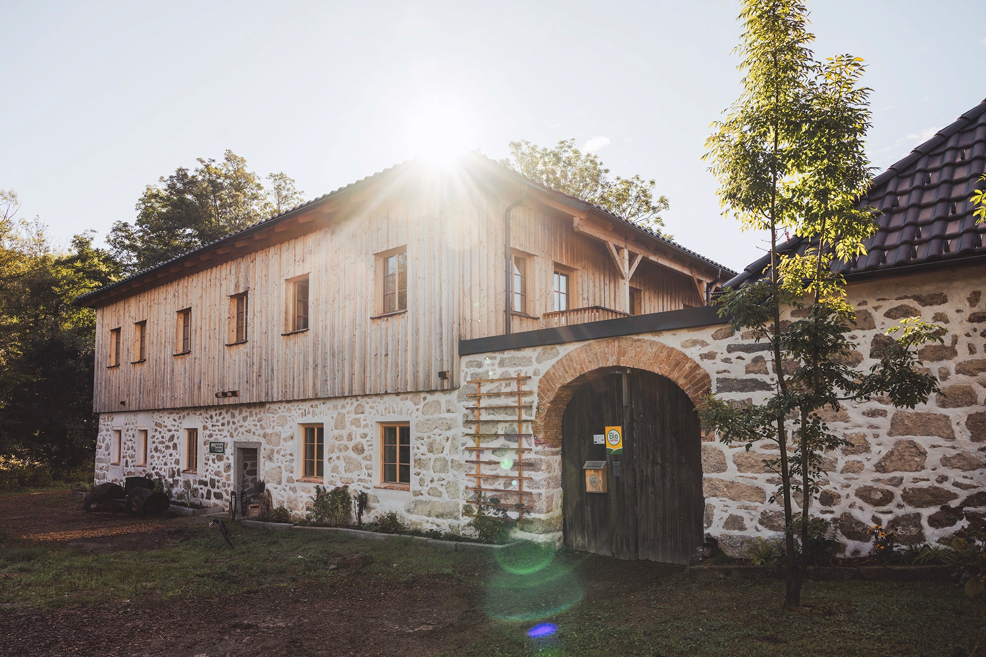 Close-up of lush, dark green leaves, some glossy and wet, against a muted background.