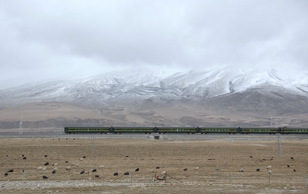 a train travels down the tracks
