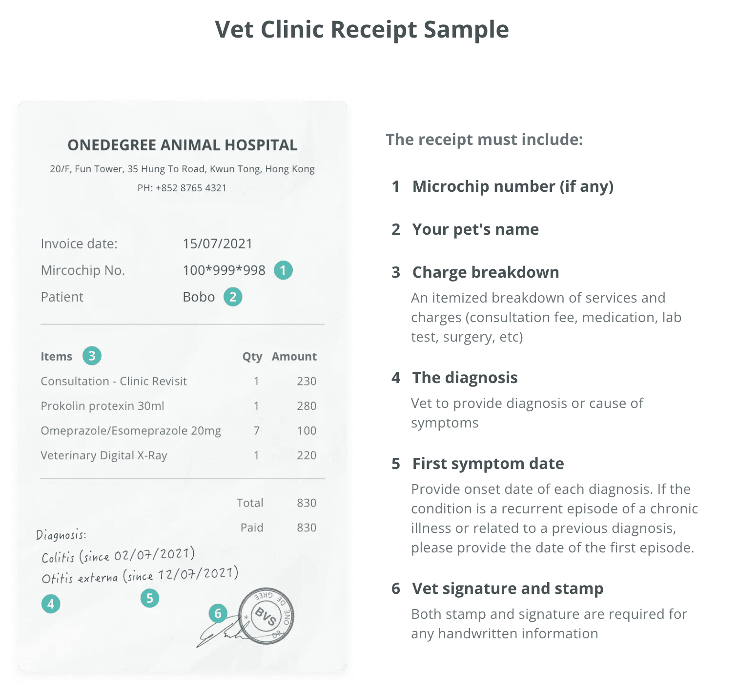 VEt Clinic Receipt Sample