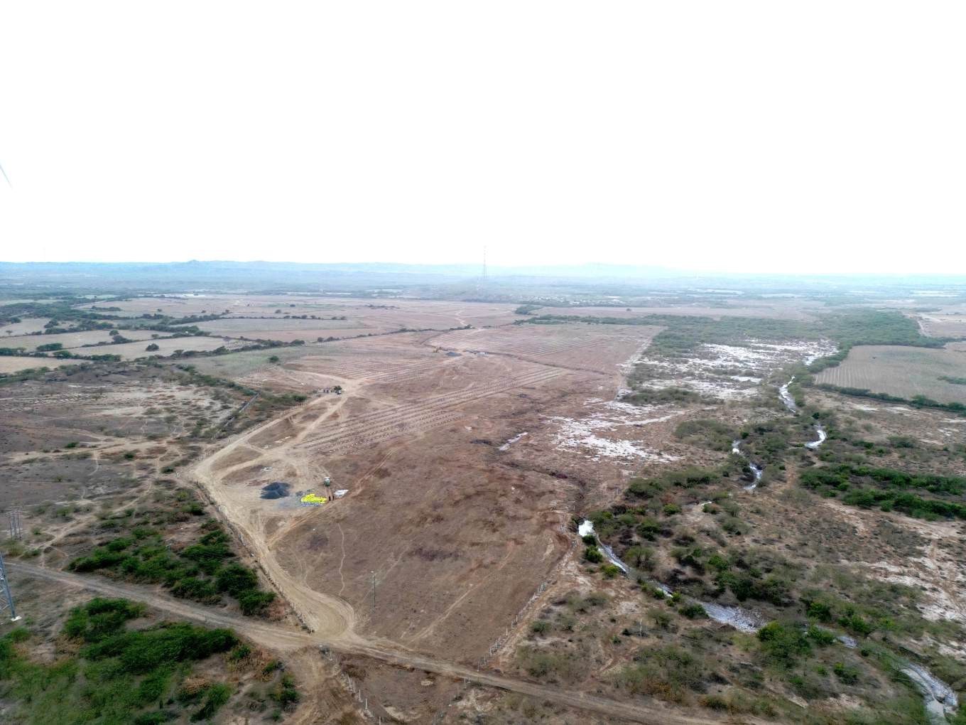 People in the office