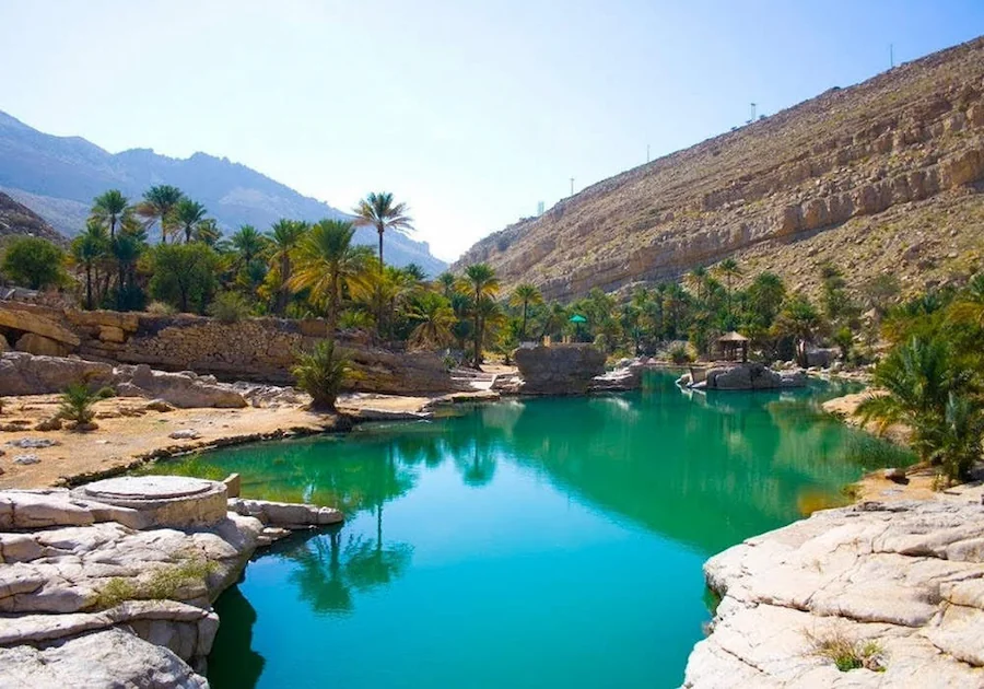 green chairs under umbrellas on shore