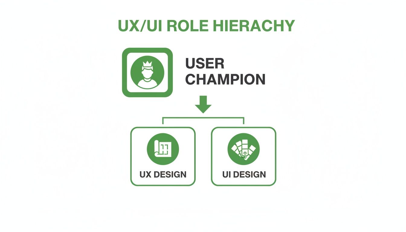 Hierarchical chart of UX/UI roles: User Champion leads to UX Design and UI Design.