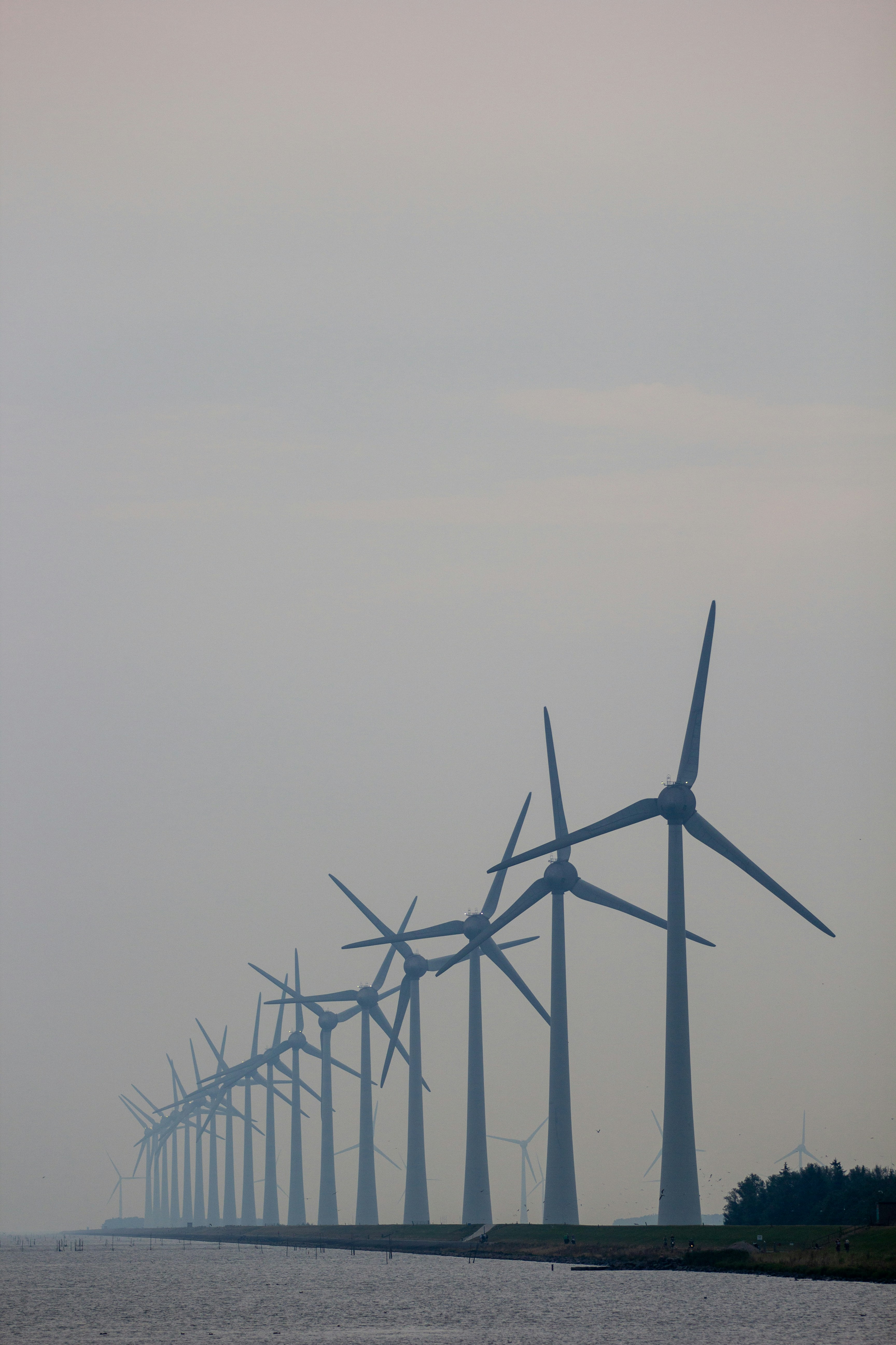 wind turbines under gray sky