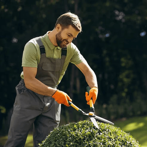Beautiful landscaped garden with greenery and outdoor design elements.