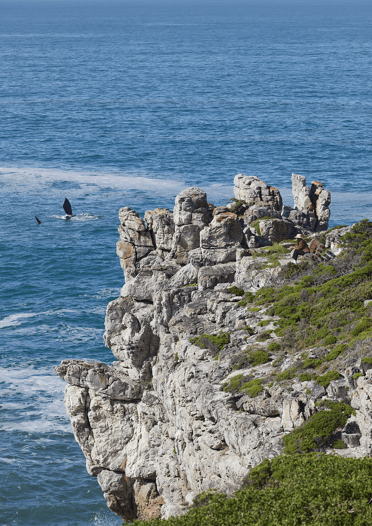 Here comes the alt text