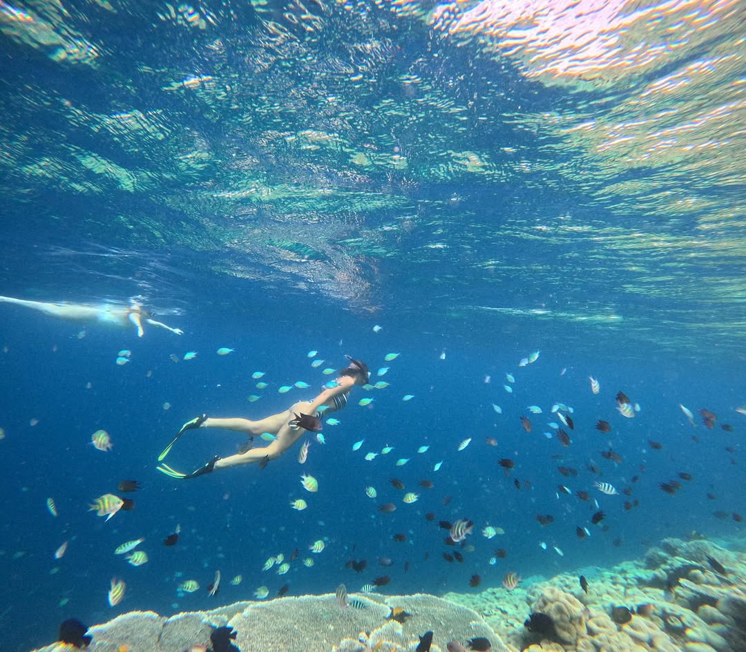 Snorkel in Labuan Bajo’s crystal-clear waters and swim with manta rays at Manta Point.