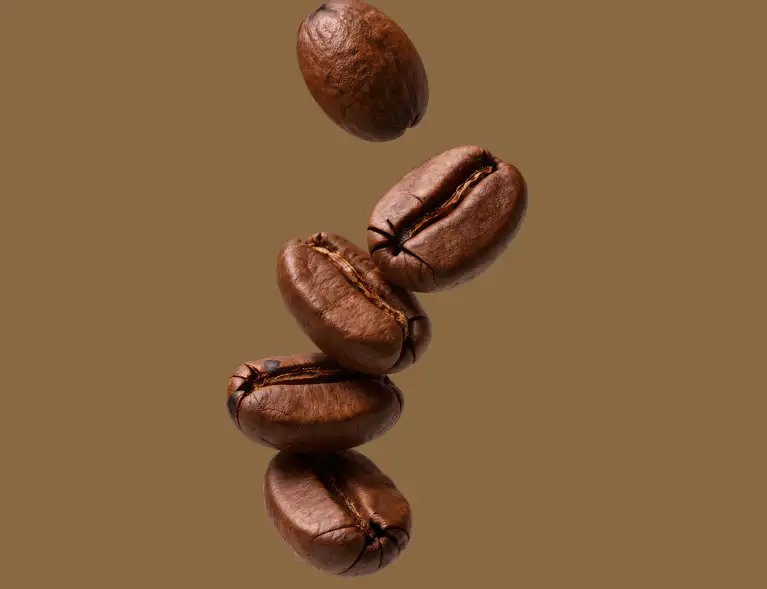 Kryon website and mobile design